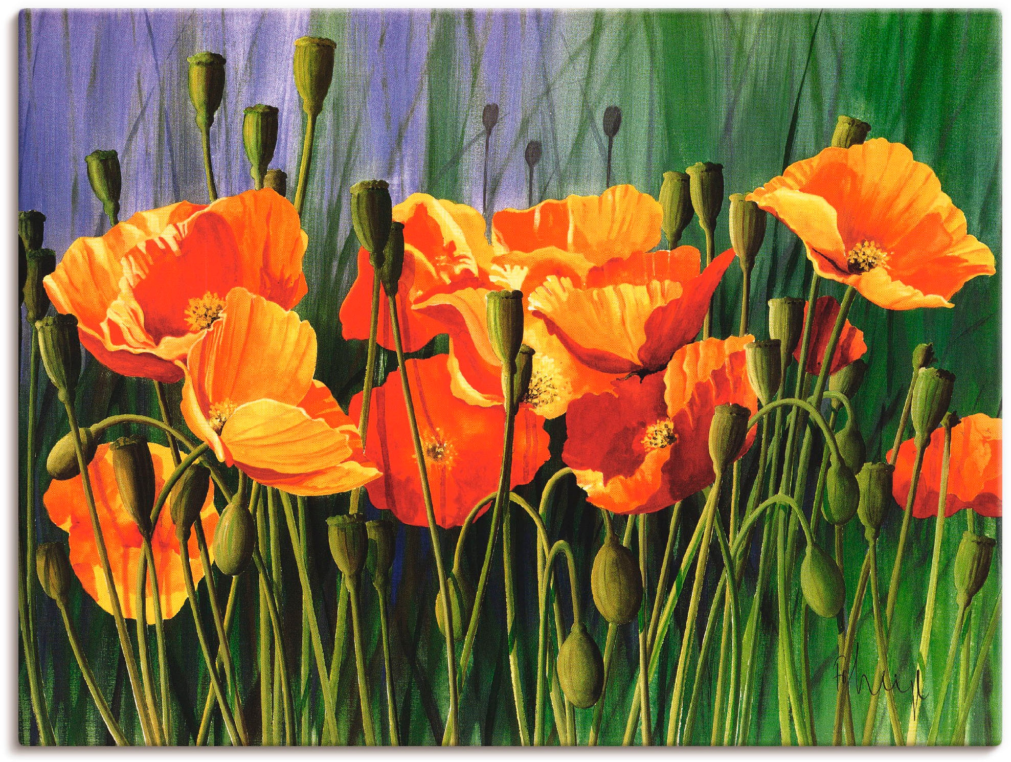 Image of Artland Leinwandbild "Mohnblumen I" Blumen 1 Stk. tlg. auf Holzrahmen gespannt