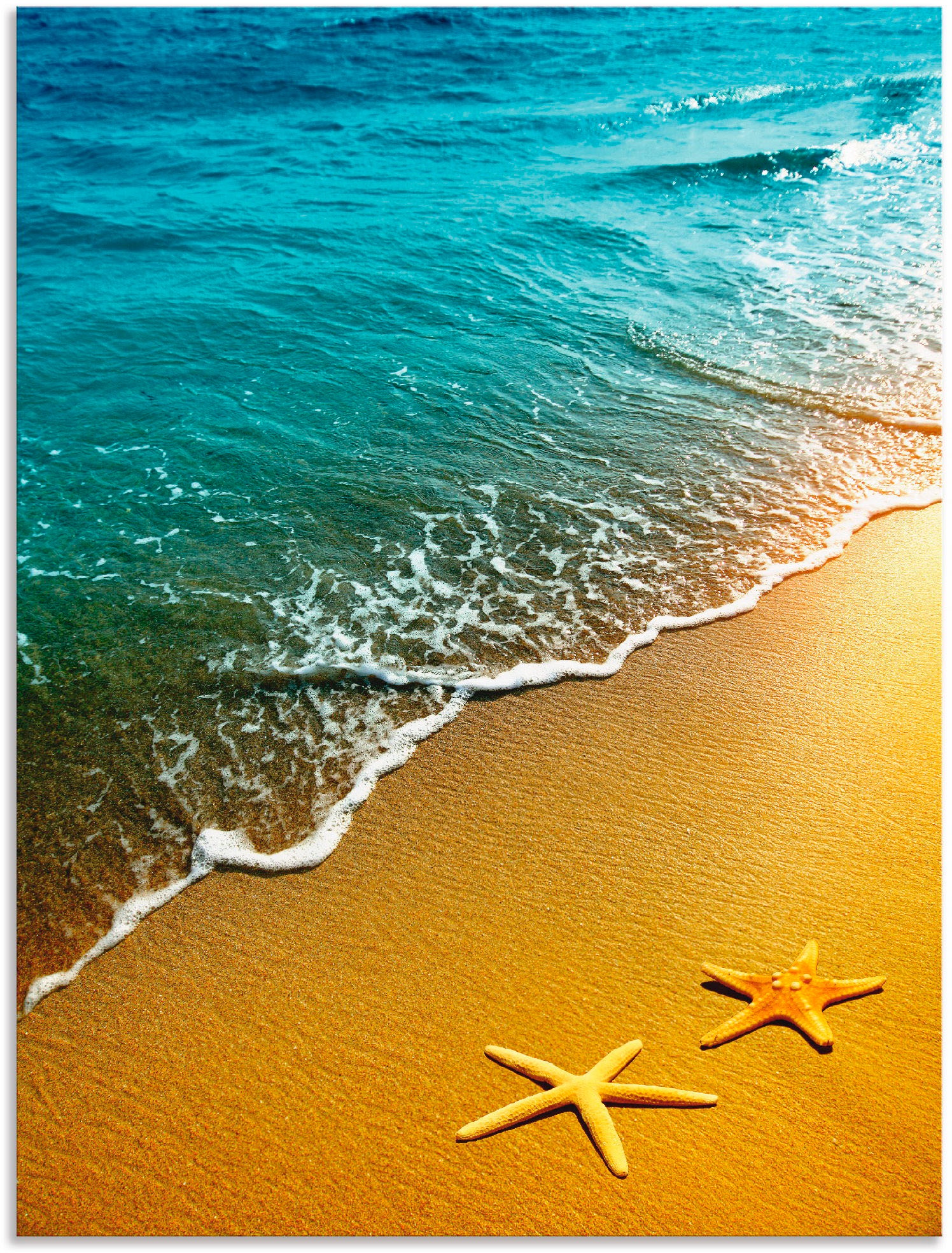 Image of Artland Wandbild »Seesterne«, Strand, (1 St.), in vielen Grössen & Produktarten - Alubild / Outdoorbild für den Aussenbereich, Leinwandbild, Poster, Wandaufkleber / Wandtattoo auch für Badezimmer geeignet bei Ackermann Versand Schweiz
