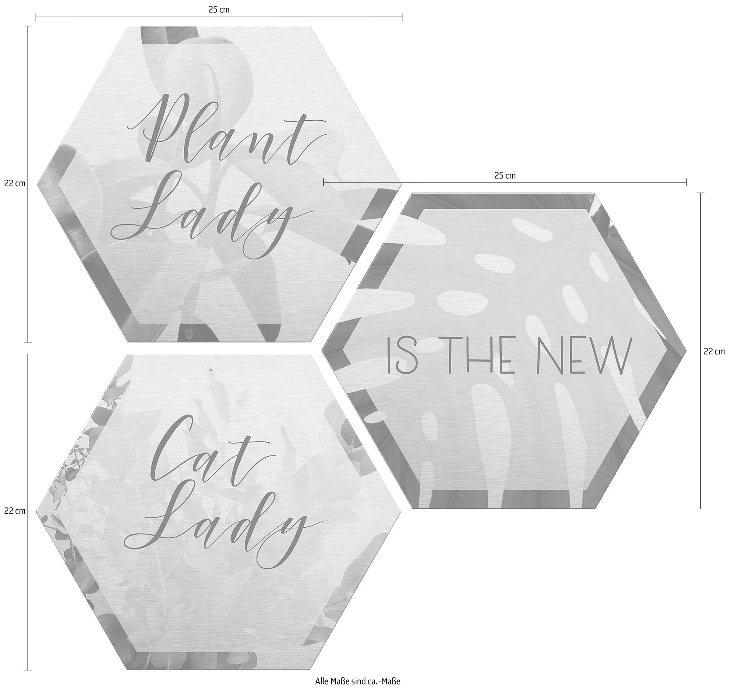 Wall-Art Metallbild »Plantlady is the new Catlady«, Natur, (Set), Masse (B/H): 25/22 cm