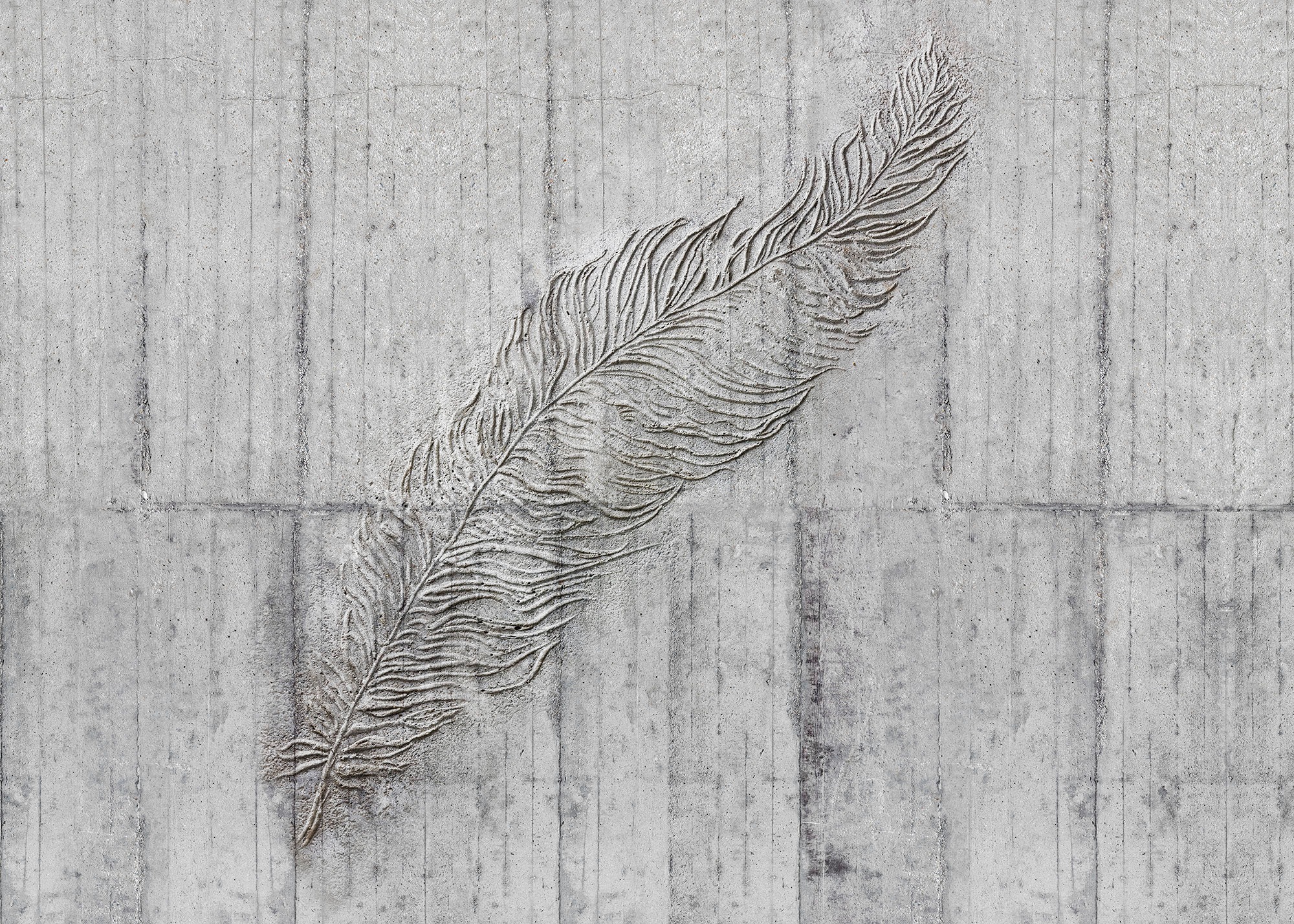 Image of Komar Vliestapete "Digitaldruck Vlies - Concrete Feather - Grösse 350 x 250 cm" bedruckt glatt Wohnzimmer, Schlafzimmer