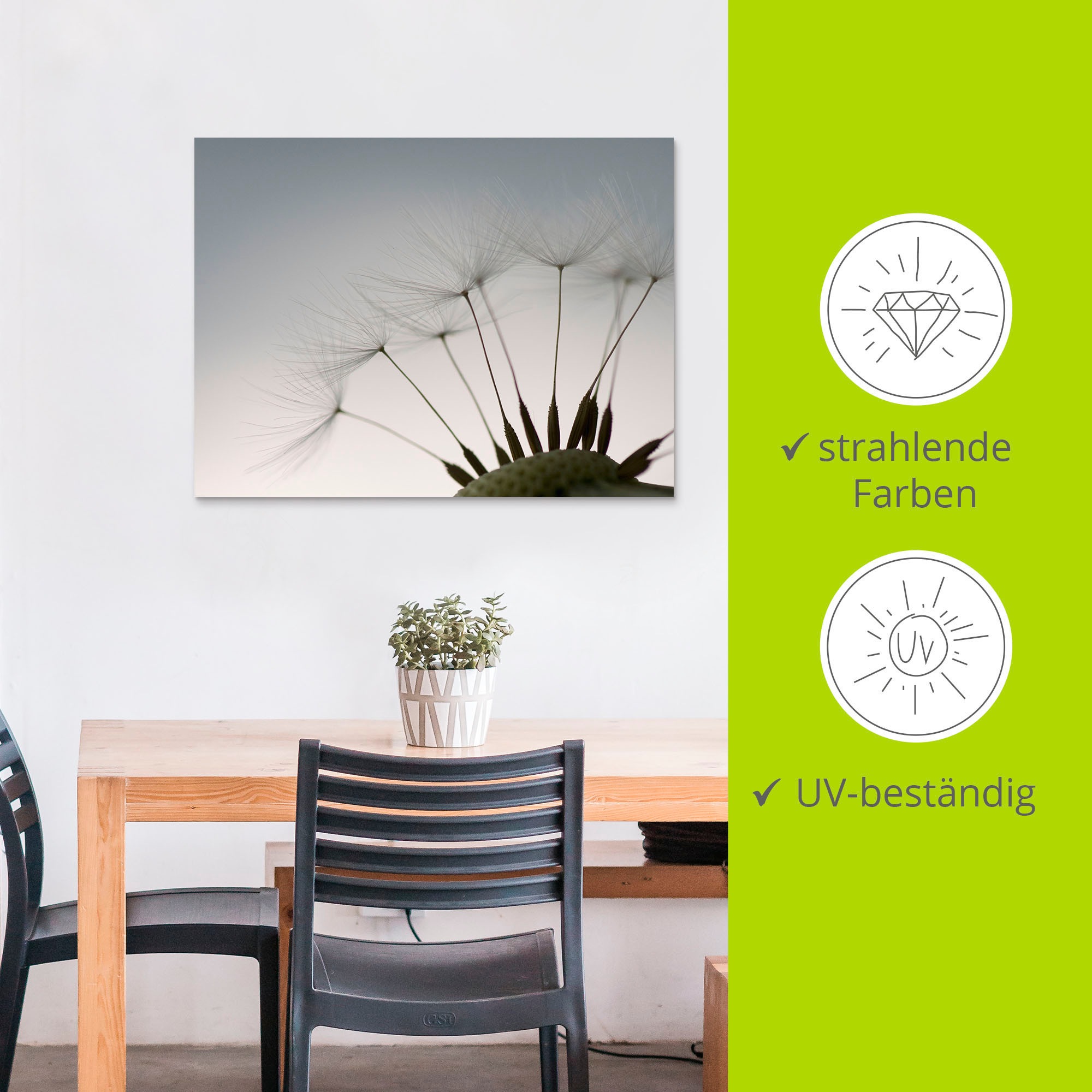 Artland Wandbild »Pusteblumen-Samen I«, Blumen, (1 St.), als Alubild, Outdoorbild, Leinwandbild, Poster in verschied. Grössen