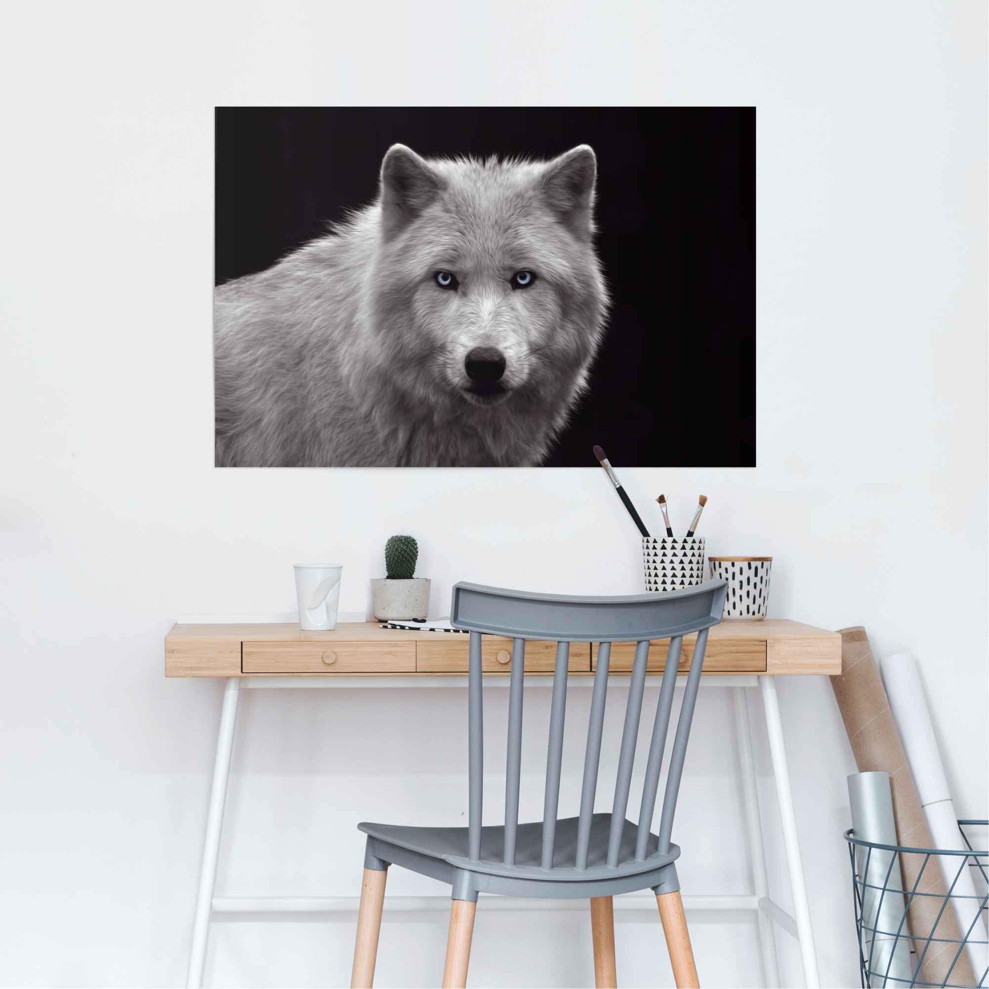 »Weisser Wolf«, Reinders! St.) auf Poster ♕ versandkostenfrei (1