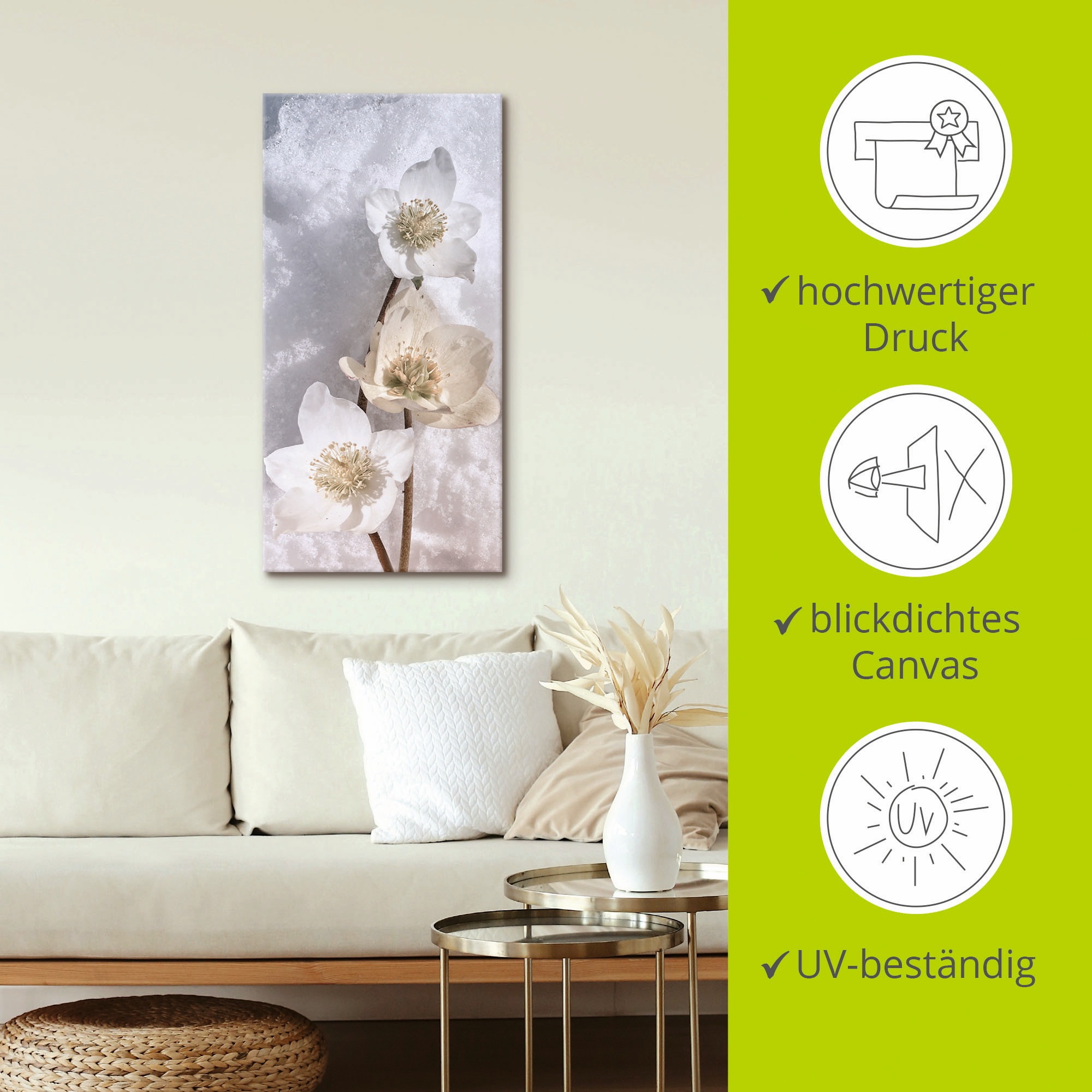 Artland Wandbild »Christrose im Schnee«, Blumen, (1 St.), als Leinwandbild, Poster in verschied. Grössen