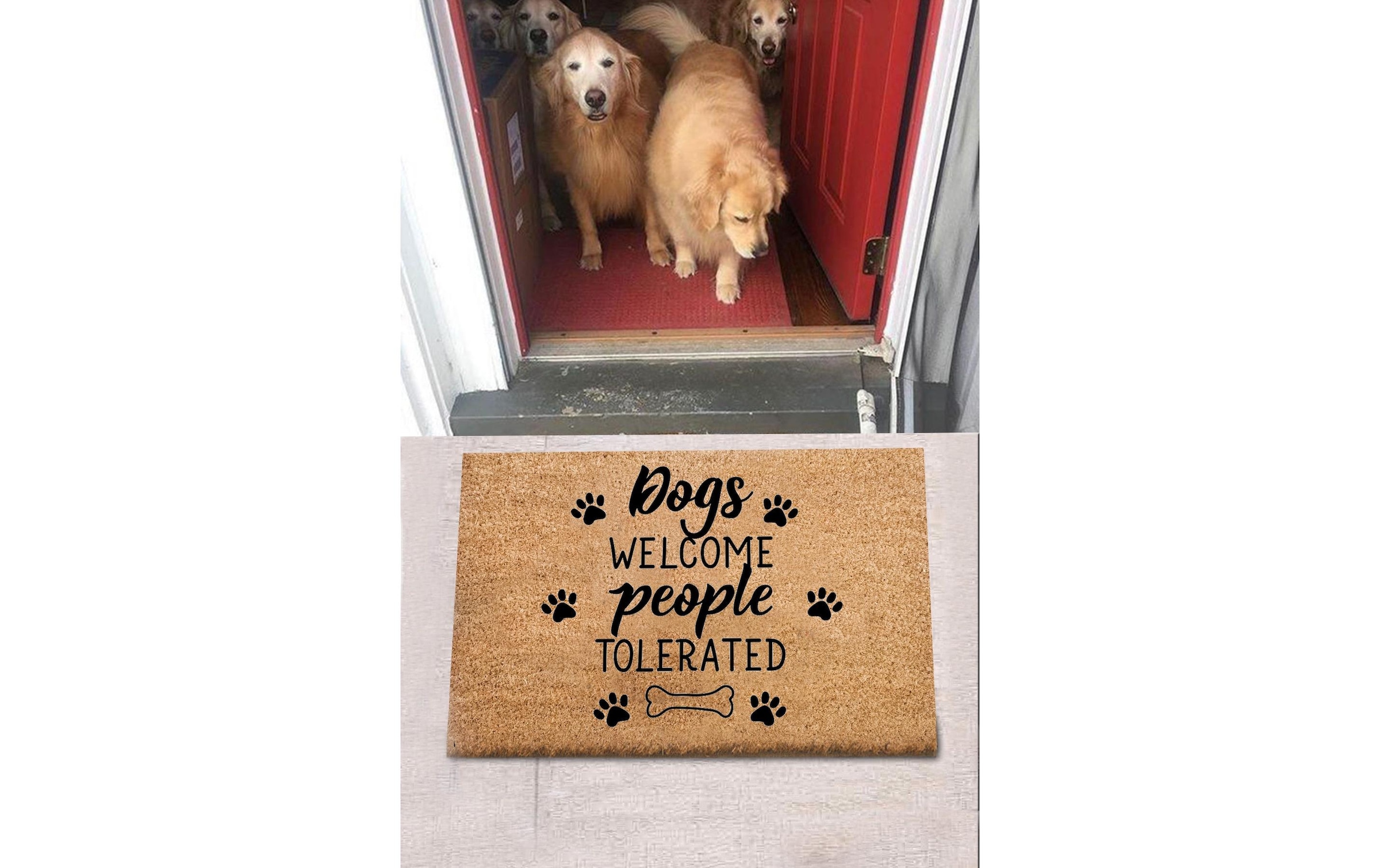   Tapis de sol »Conceptum Hypnose Dogs«