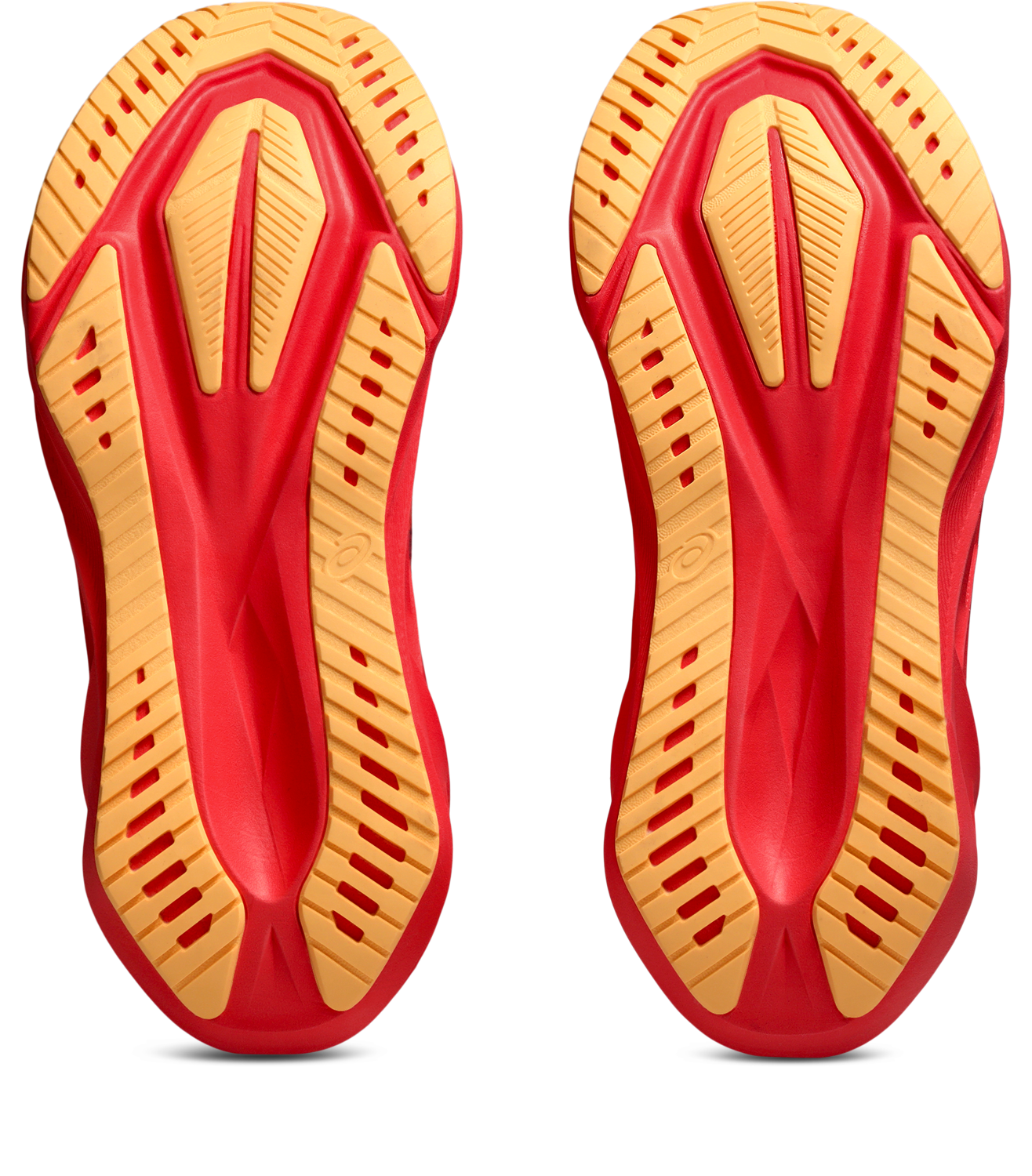 Asics Laufschuh »NOVABLAST 5«