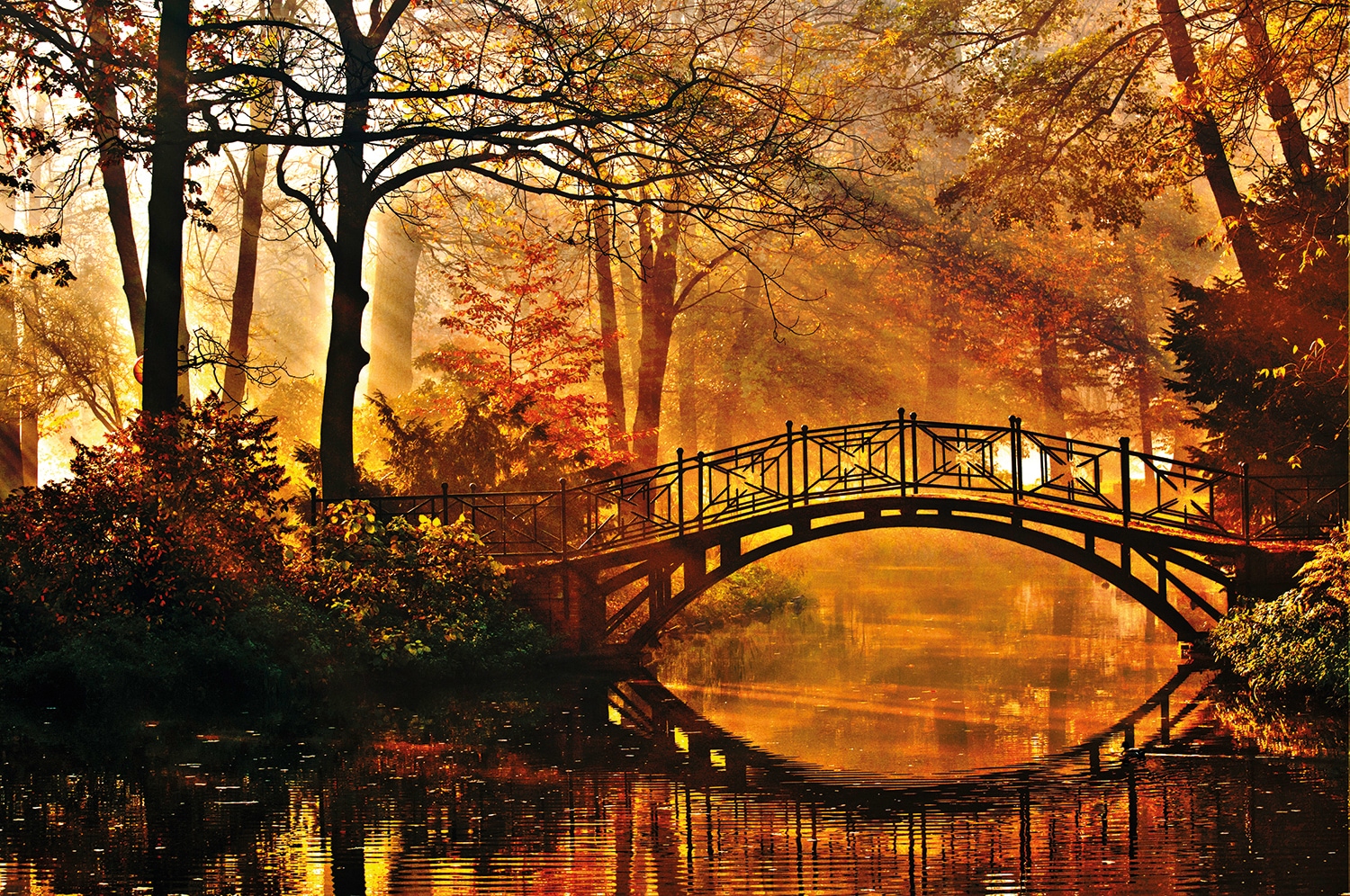 Image of Papermoon Fototapete "Misty Park Bridge" glatt