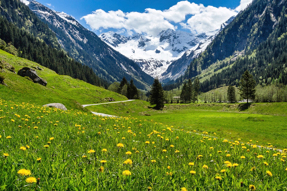 Image of Papermoon "Alpenlandschaft"