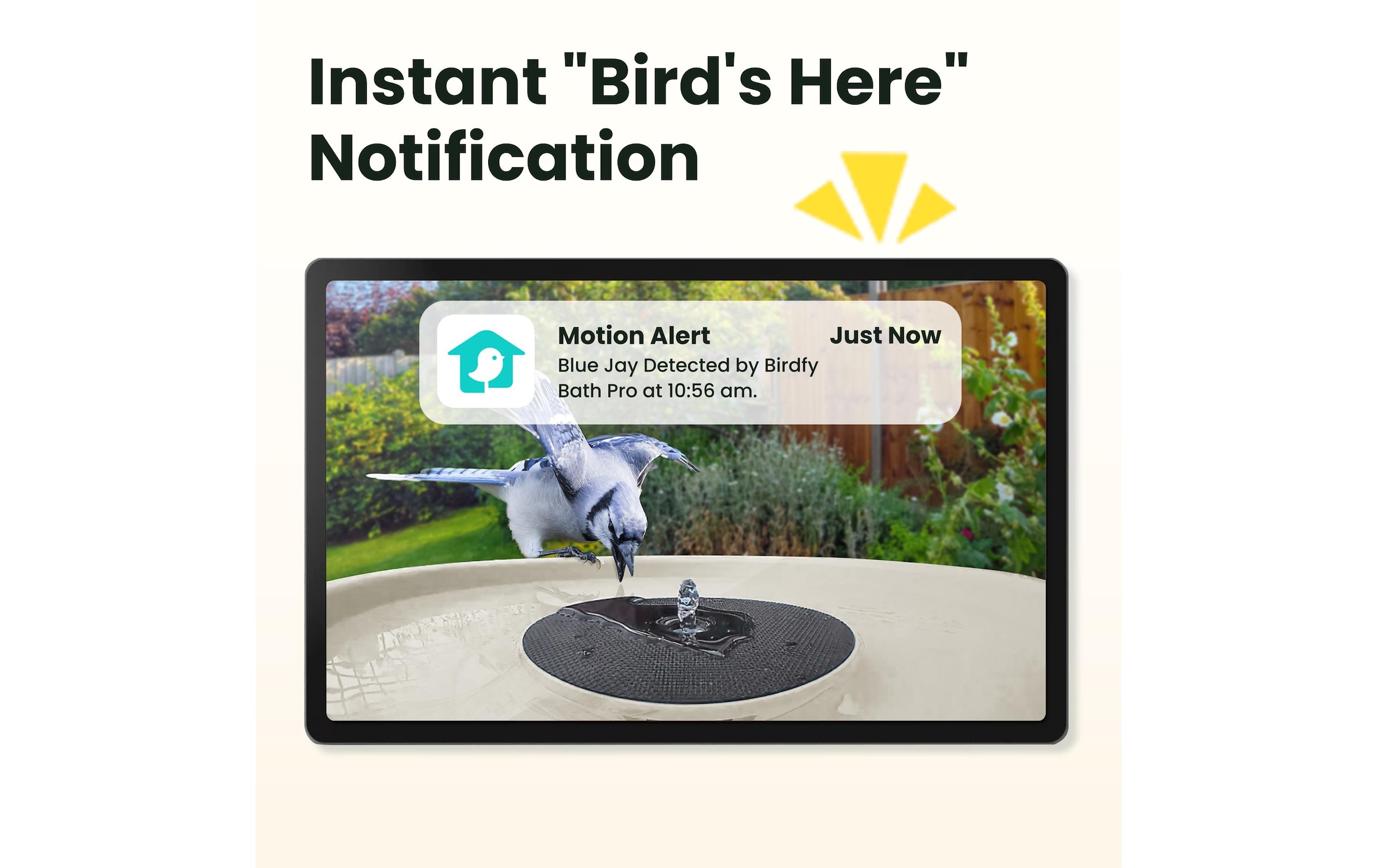 Birdfy Vogeltränke »Vogelbad mit Kamera« Solarbetrieben, KI und Video Vogelerkennung