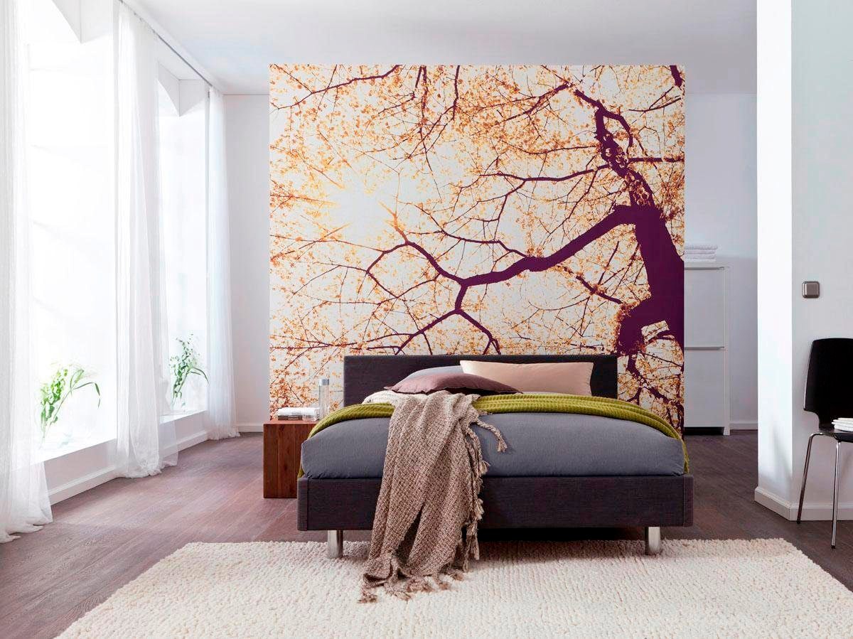 Komar Vliestapete »Digitaldruck Vlies - Sunshine - Grösse 250 x 250 cm«, bedruckt, Wohnzimmer, Schlafzimmer