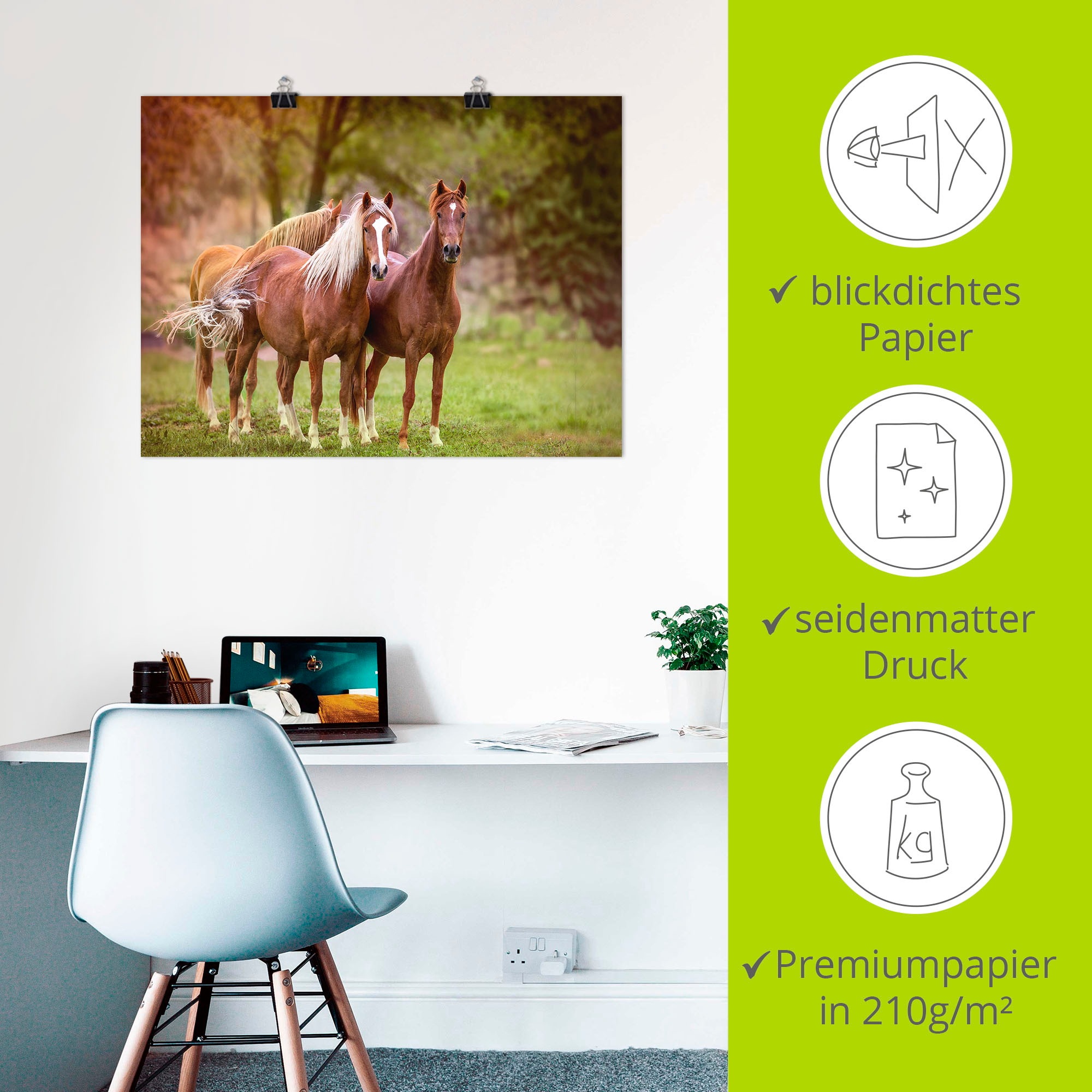 Artland Wandbild »Pferde in den Feldern I«, Haustiere, (1 St.), als Leinwandbild, Poster, Wandaufkleber in verschied. Grössen