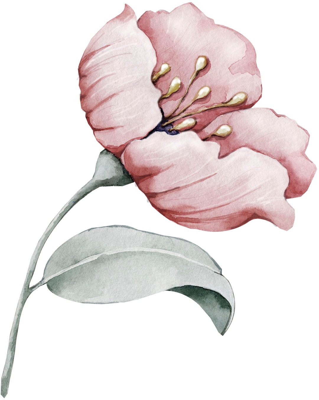Image of queence Wandtattoo "Annie" Wandbild, Sticker, rosa, Blume, Blüte, selbstklebend, Pastellfarben