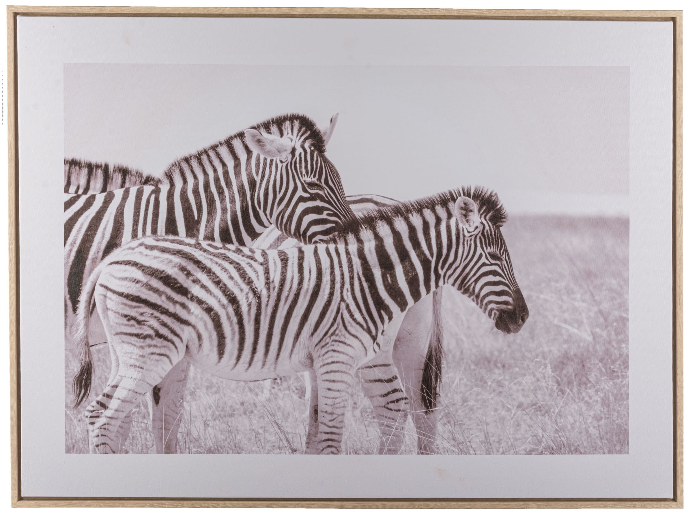 Image of Creativ home Bild mit Rahmen "Zebra" 1 Stk. tlg. mit schwarz-weissem Motiv