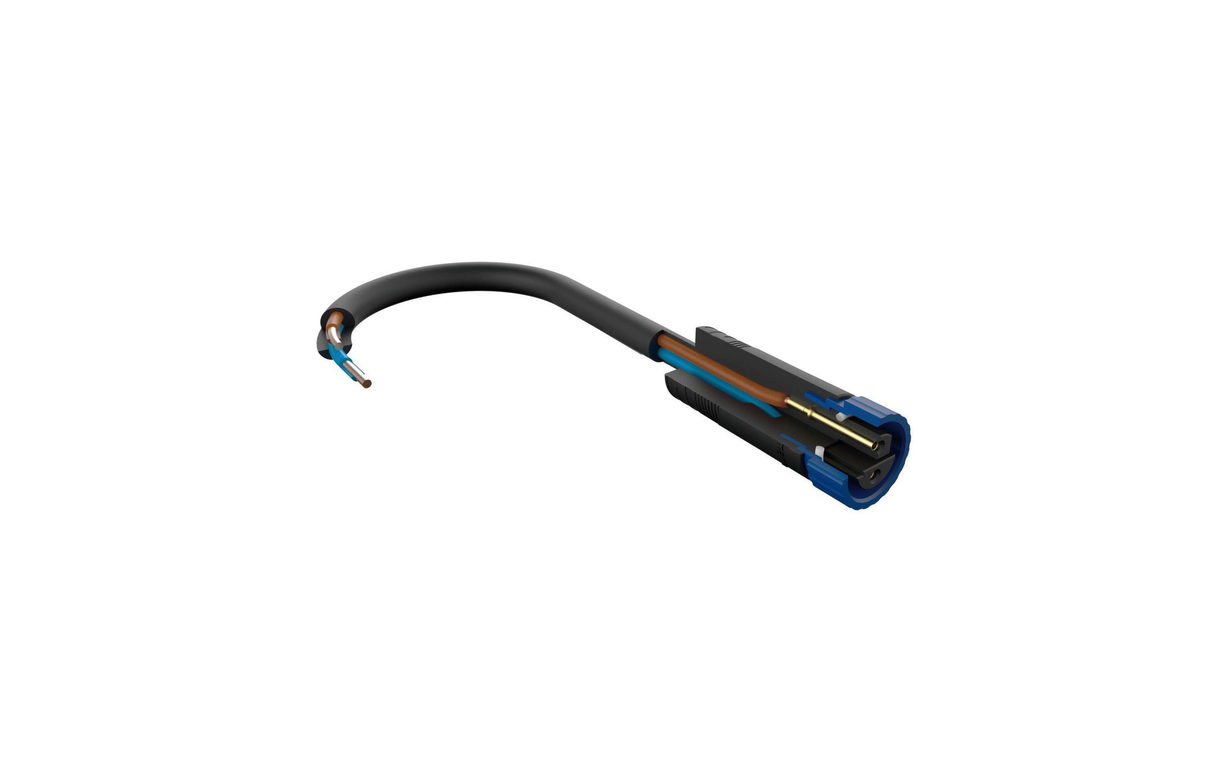 Paulmann Gartenleuchte »Plug & Shine Fl«
