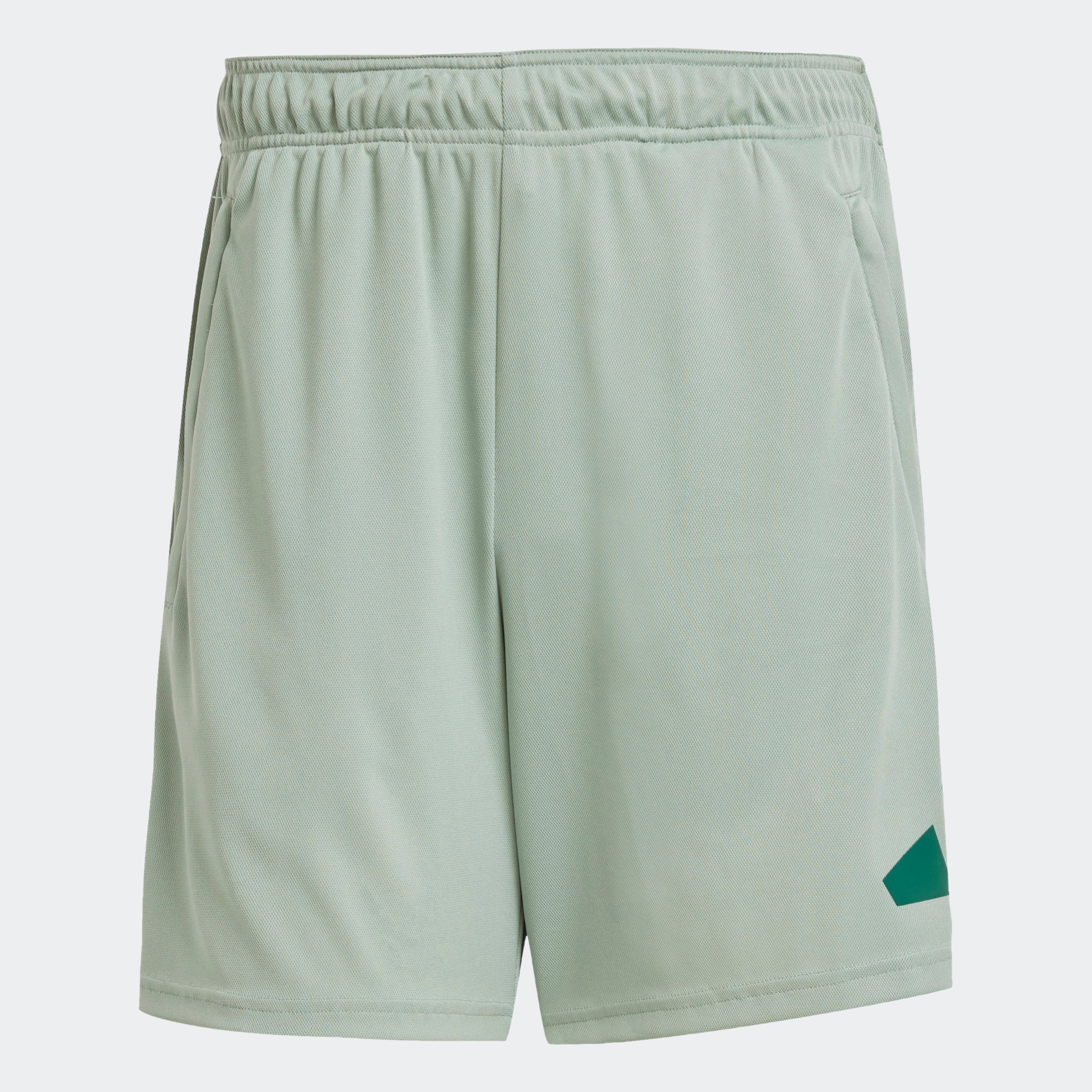 adidas Performance Shorts »TRAIN ESSENTIALS LOGO TRAINING«, (1 tlg.)