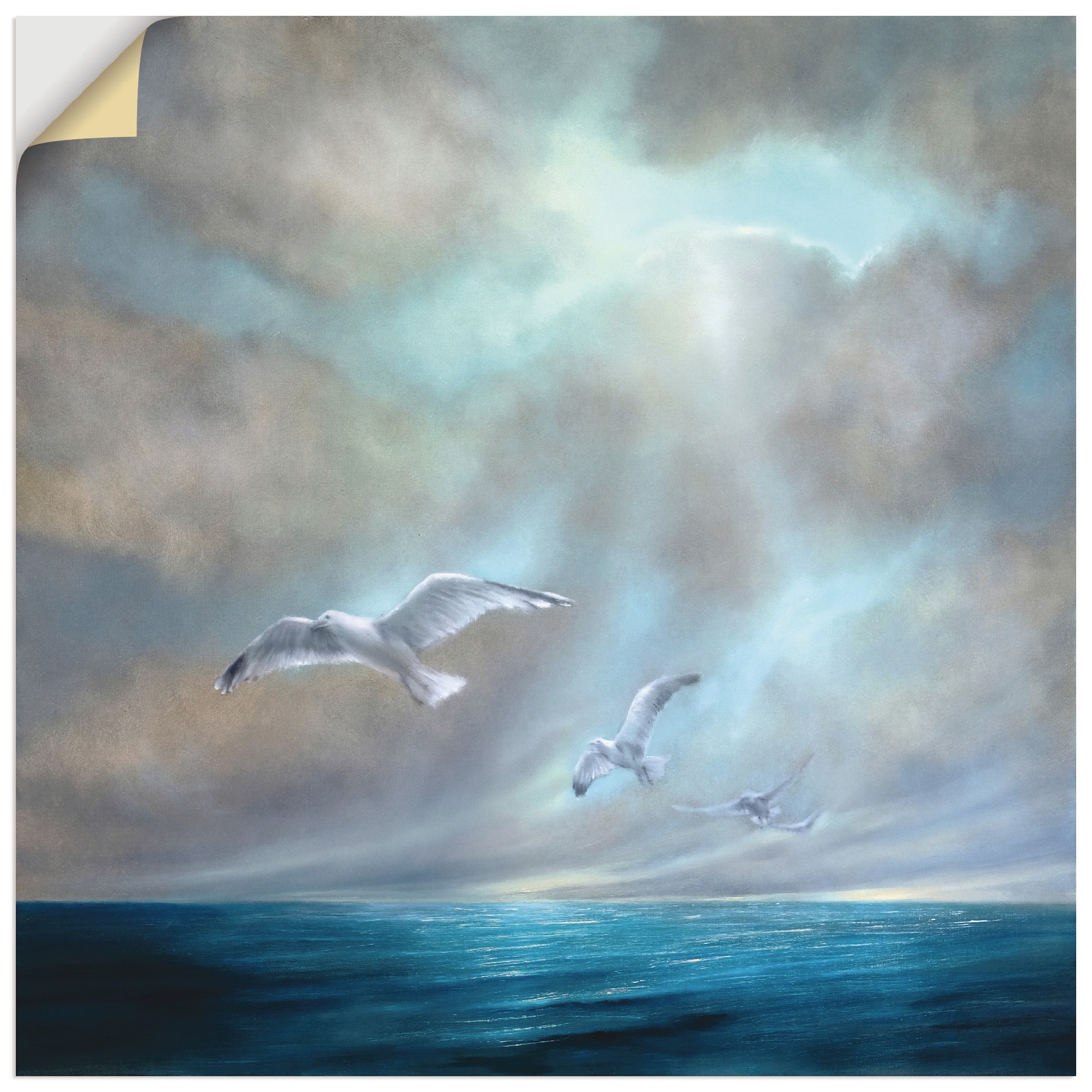 Image of Artland Wandbild »Frei sein«, Gewässer, (1 St.), in vielen Grössen & Produktarten - Alubild / Outdoorbild für den Aussenbereich, Leinwandbild, Poster, Wandaufkleber / Wandtattoo auch für Badezimmer geeignet bei Ackermann Versand Schweiz