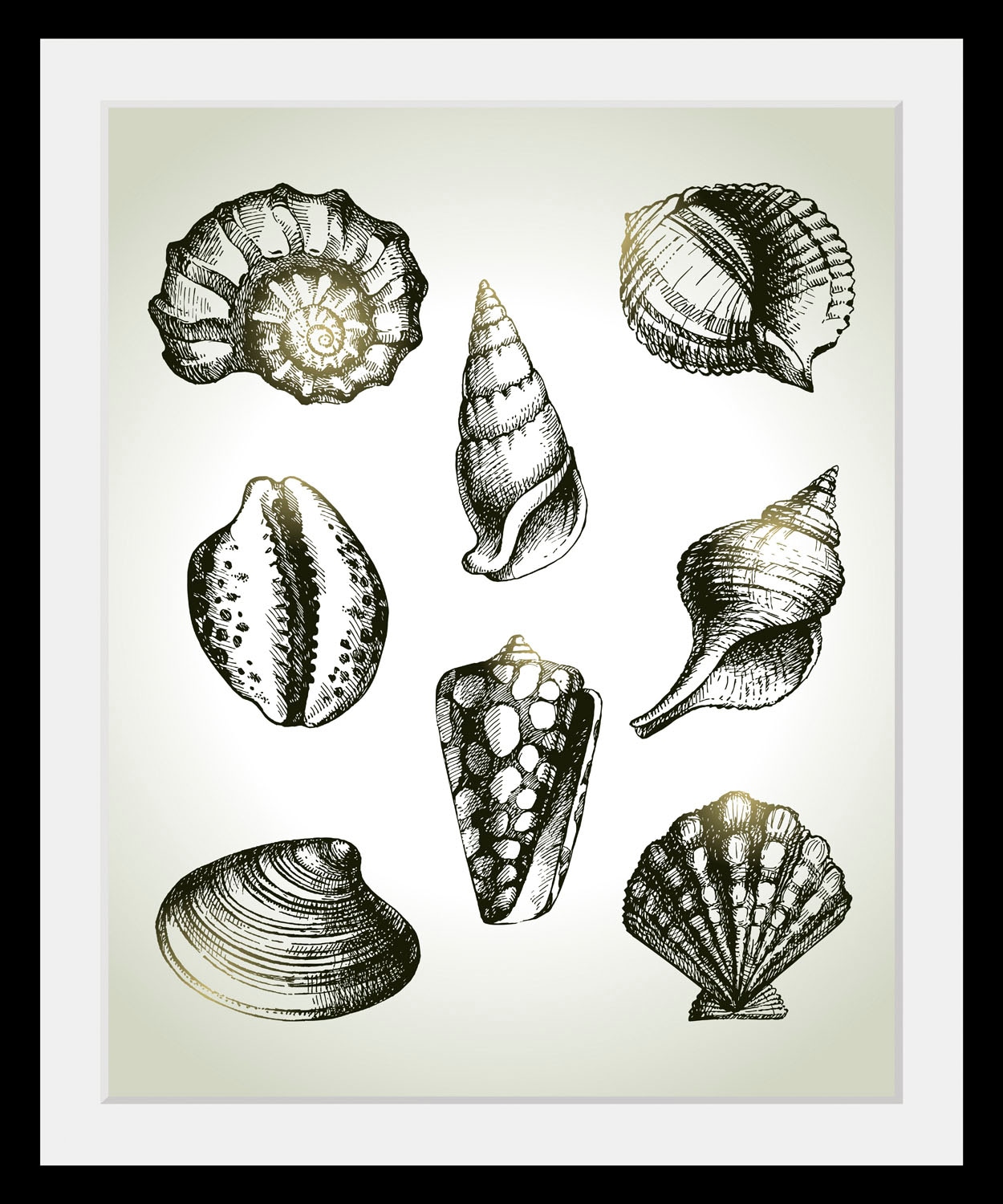 queence Bild »Willy« Kunst | Meer | Schwarz-Weiss | Wassertiere 1 Stk. tlg. HD Premium Poster-Druck inkl. Holzrahmen