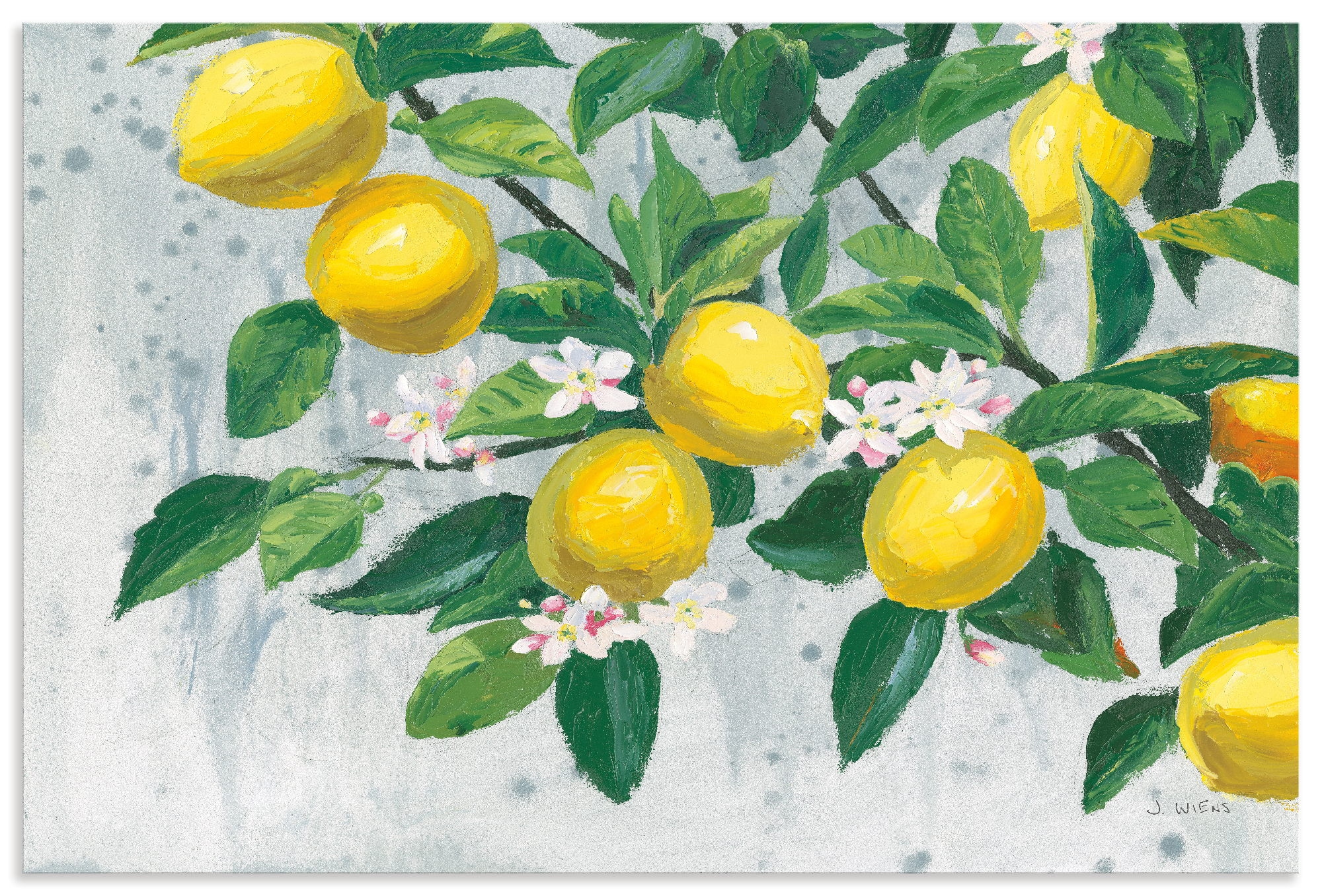 Image of Artland Wandbild "Zesty Lemons" Baumbilder 1 Stk. tlg. als Alubild, Leinwandbild, Poster, Wandaufkleber in verschied. Grössen