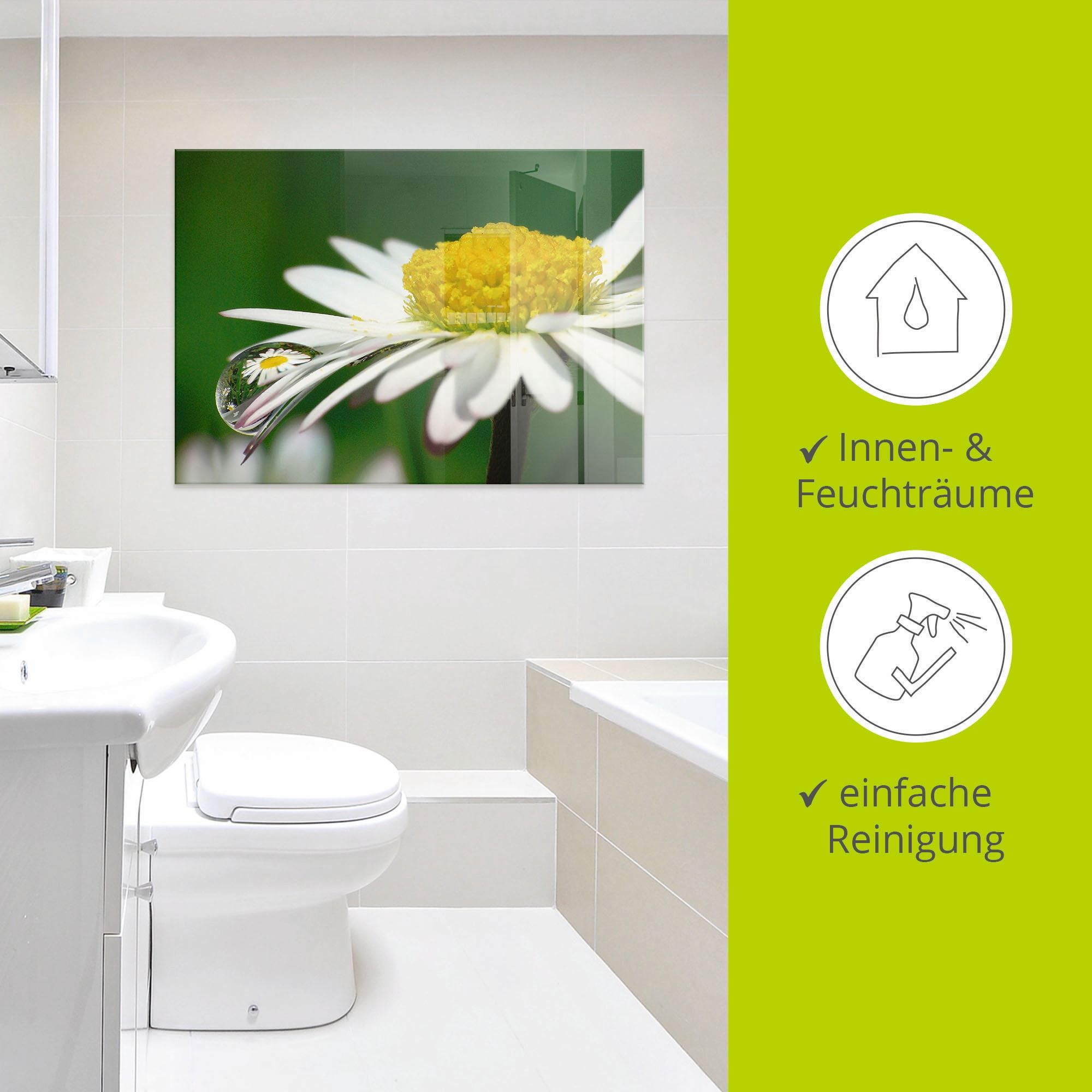 Artland Tableau en verre »Gänseblümchen mit  Wassertropfen« 1 cuis tlg. in verschiedenen Grössen