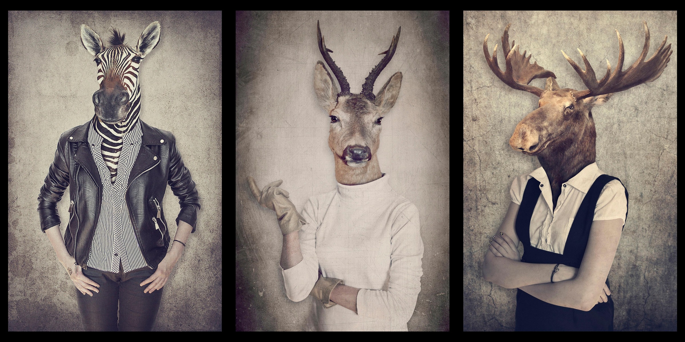 Image of Home affaire Deco-Panel »Hipster - Tiere«, hochwertiger Kunstdruck bei Ackermann Versand Schweiz