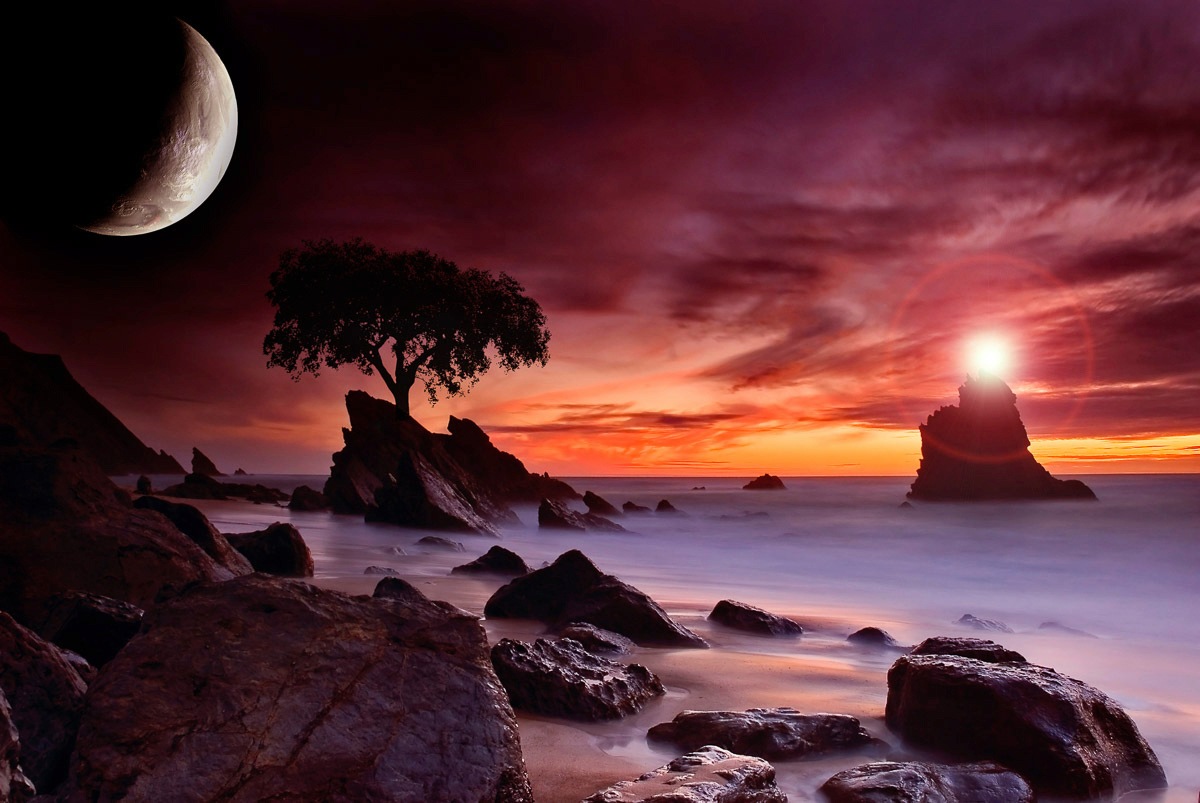 Image of Papermoon Fototapete »Küstenmondlicht«, Vliestapete, hochwertiger Digitaldruck bei Ackermann Versand Schweiz