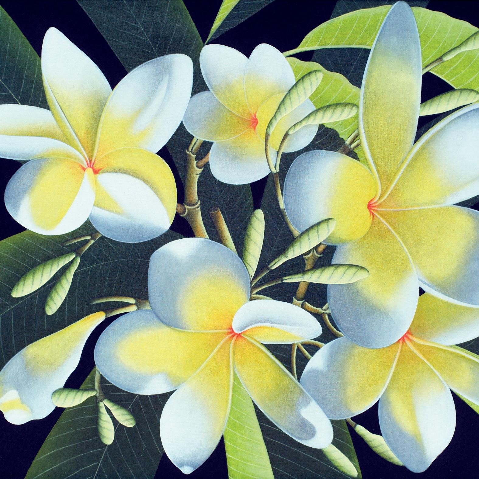 queence Dekokissen »»Blüten«« Kissenhülle ohne Füllung, 1 Stück