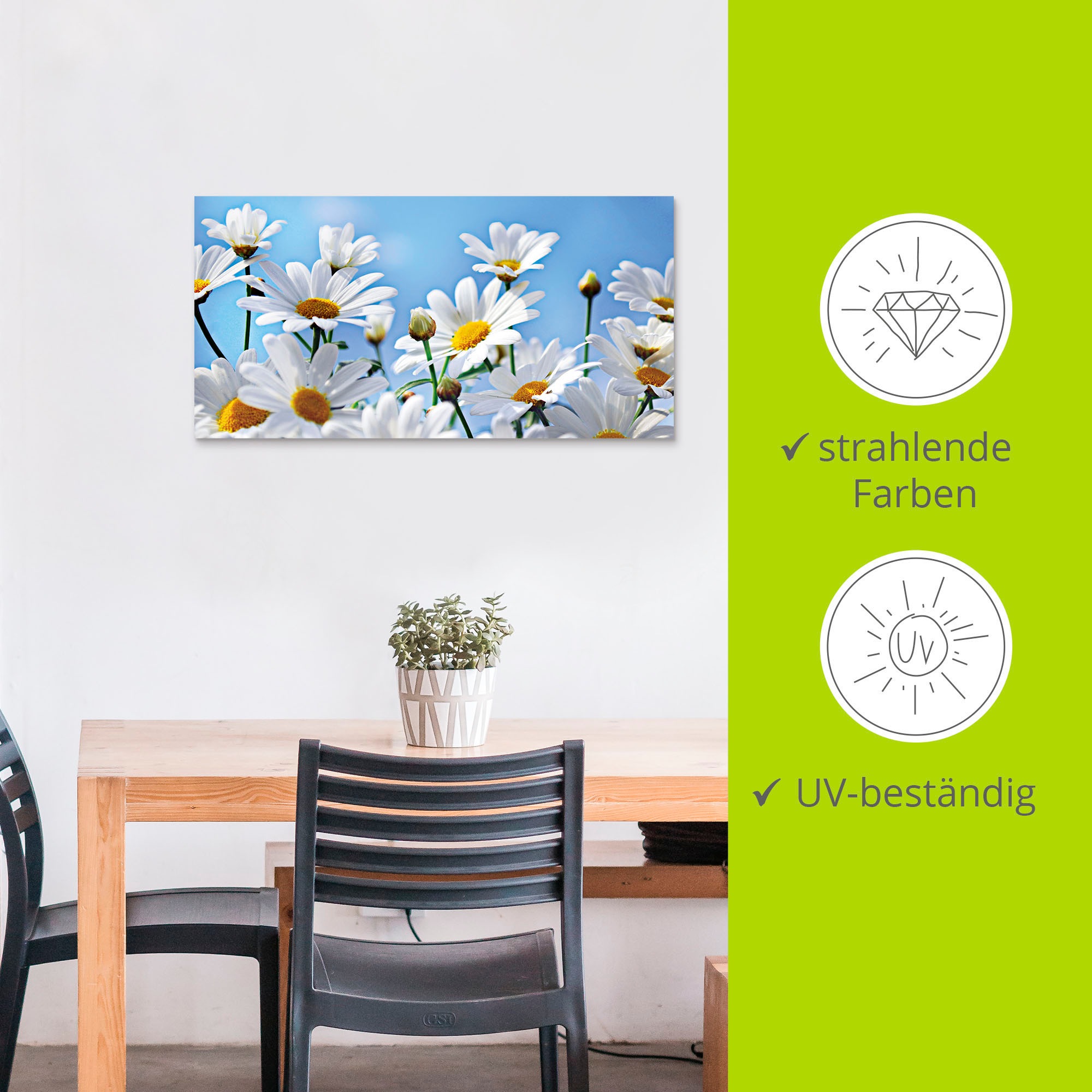 Artland Wandbild »Blumen - Margeriten«, Blumen, (1 St.), als Alubild, Outdoorbild, Leinwandbild in verschied. Grössen