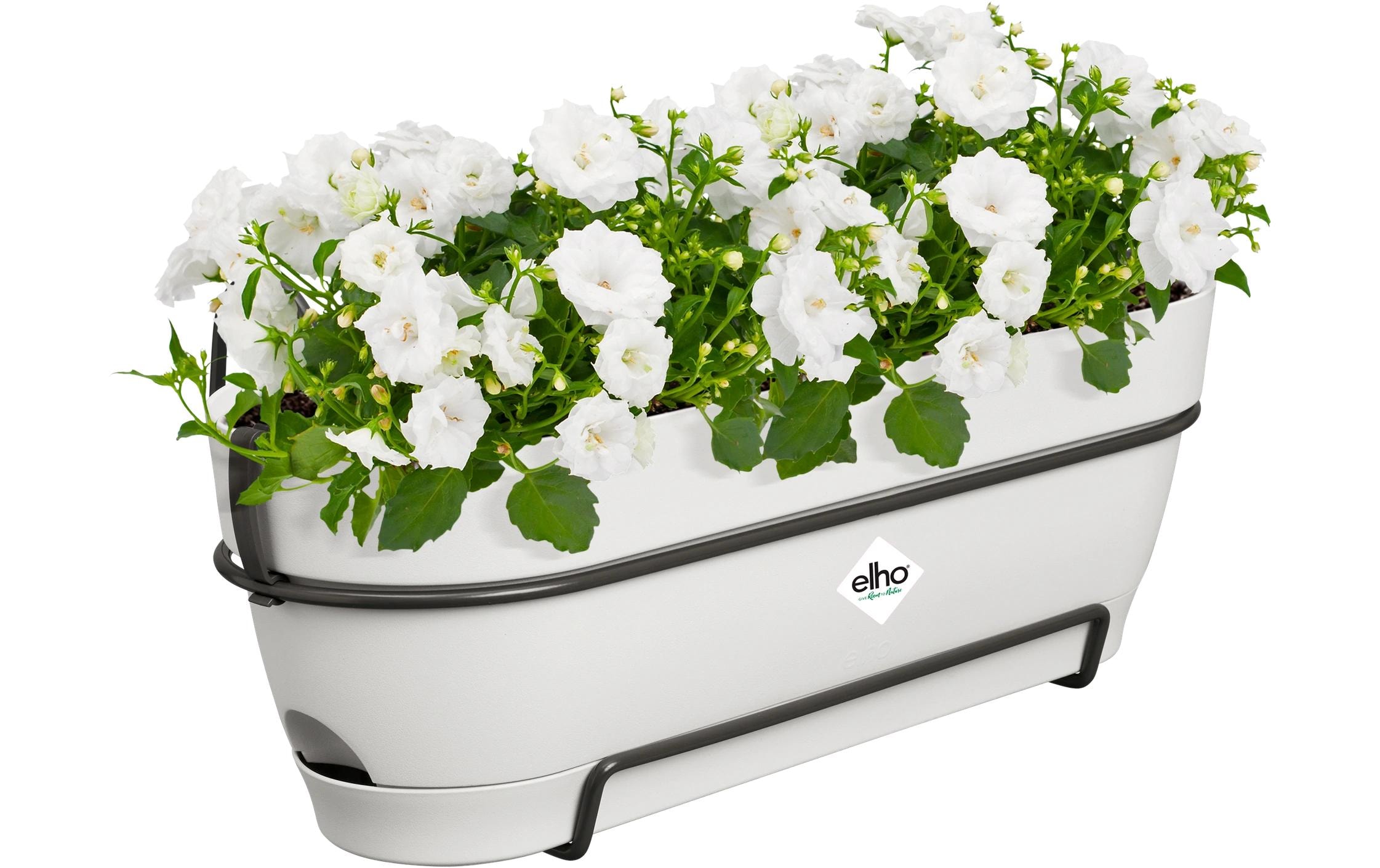Elho Blumentopf »Vibia Campana Balkonkasten Allin1 50 cm«
