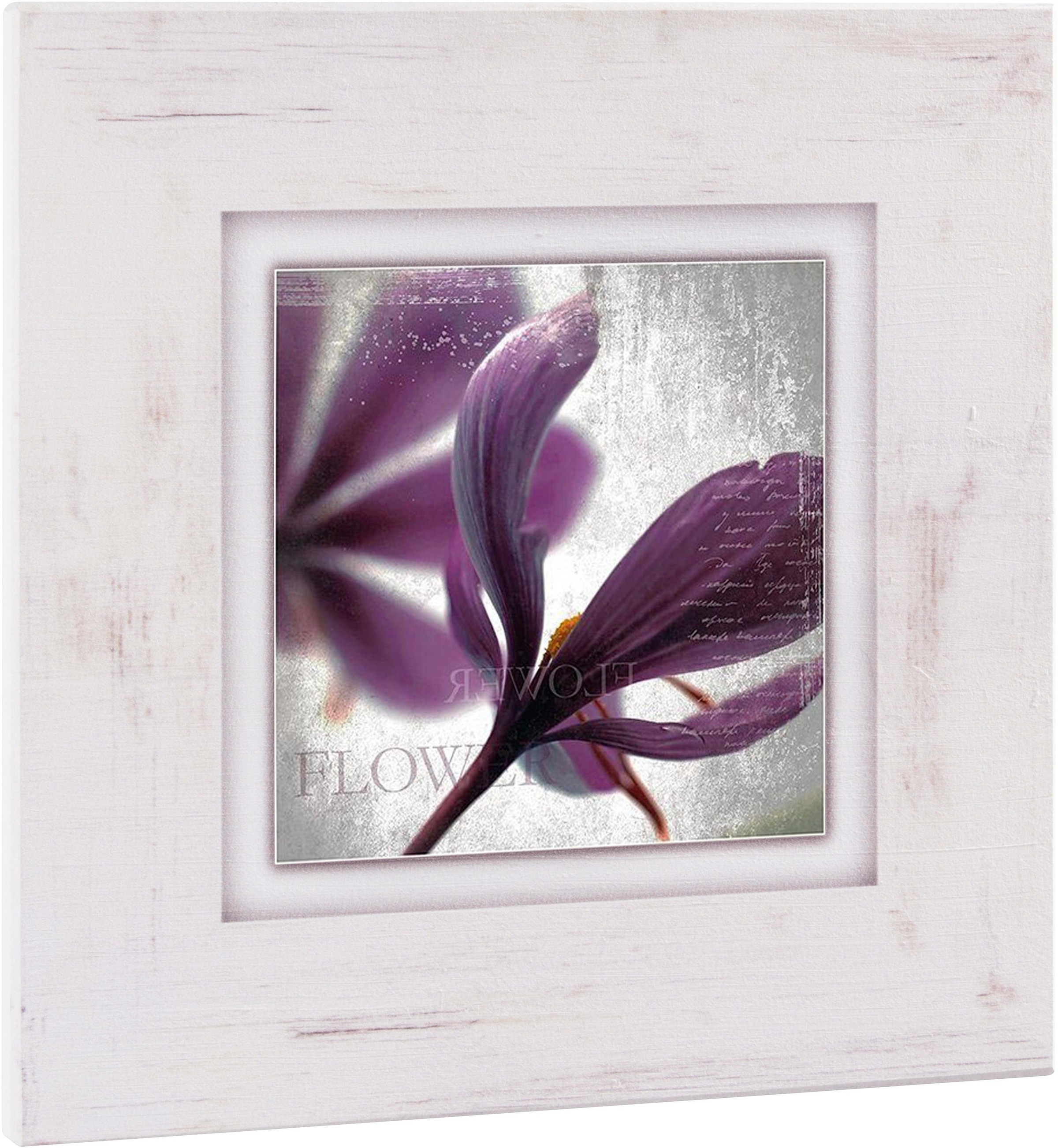 Image of Home affaire Holzbild »Lila Blüte II«, 40/40 cm bei Ackermann Versand Schweiz