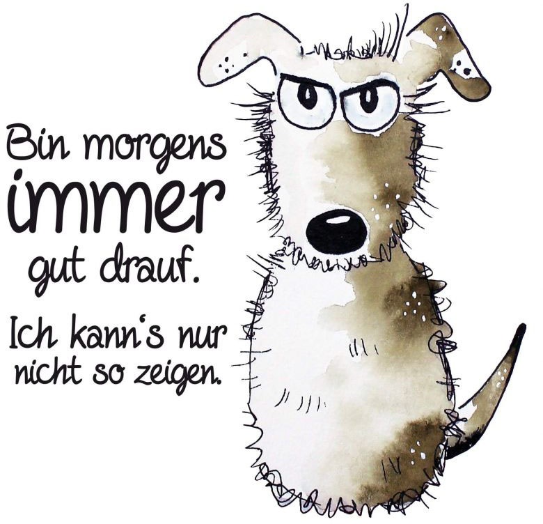 Image of Wall-Art Wandtattoo »Bin morgens immer gut drauf«, (1 St.) bei Ackermann Versand Schweiz