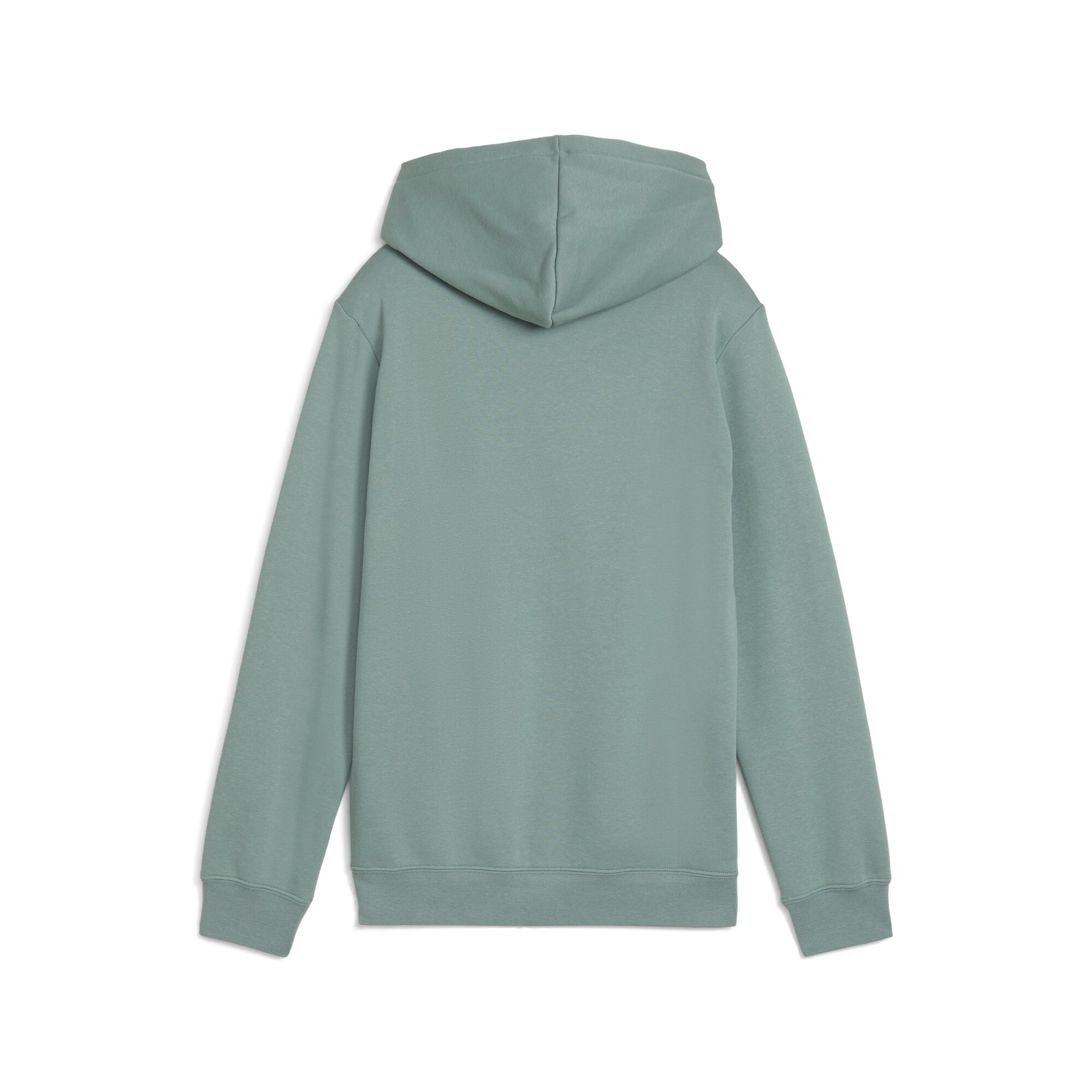 PUMA Kapuzensweatshirt »ESS NO. 1 LOGO HOODIE FL B«