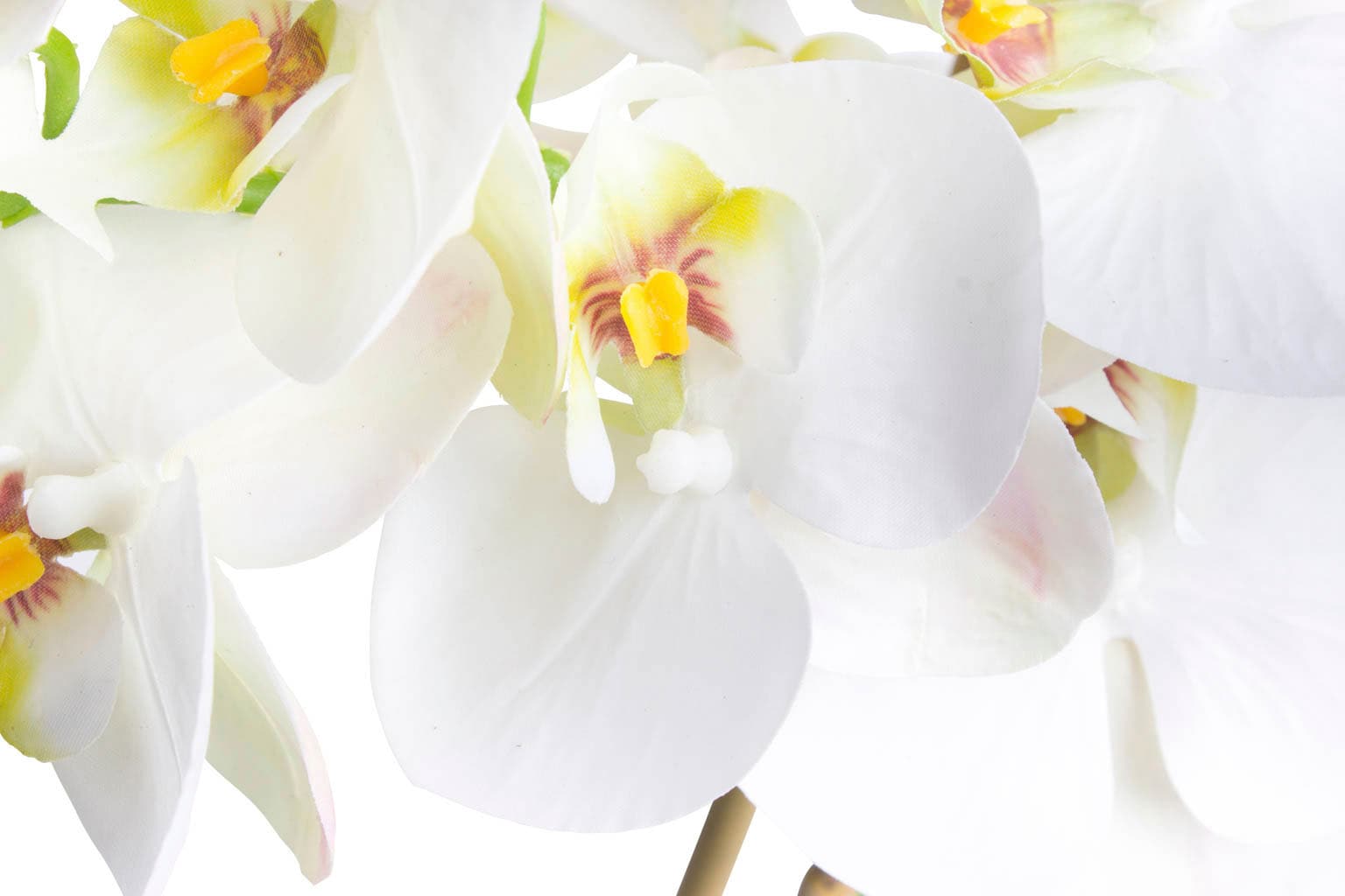 Botanic-Haus Kunstorchidee »Orchidee Bora«