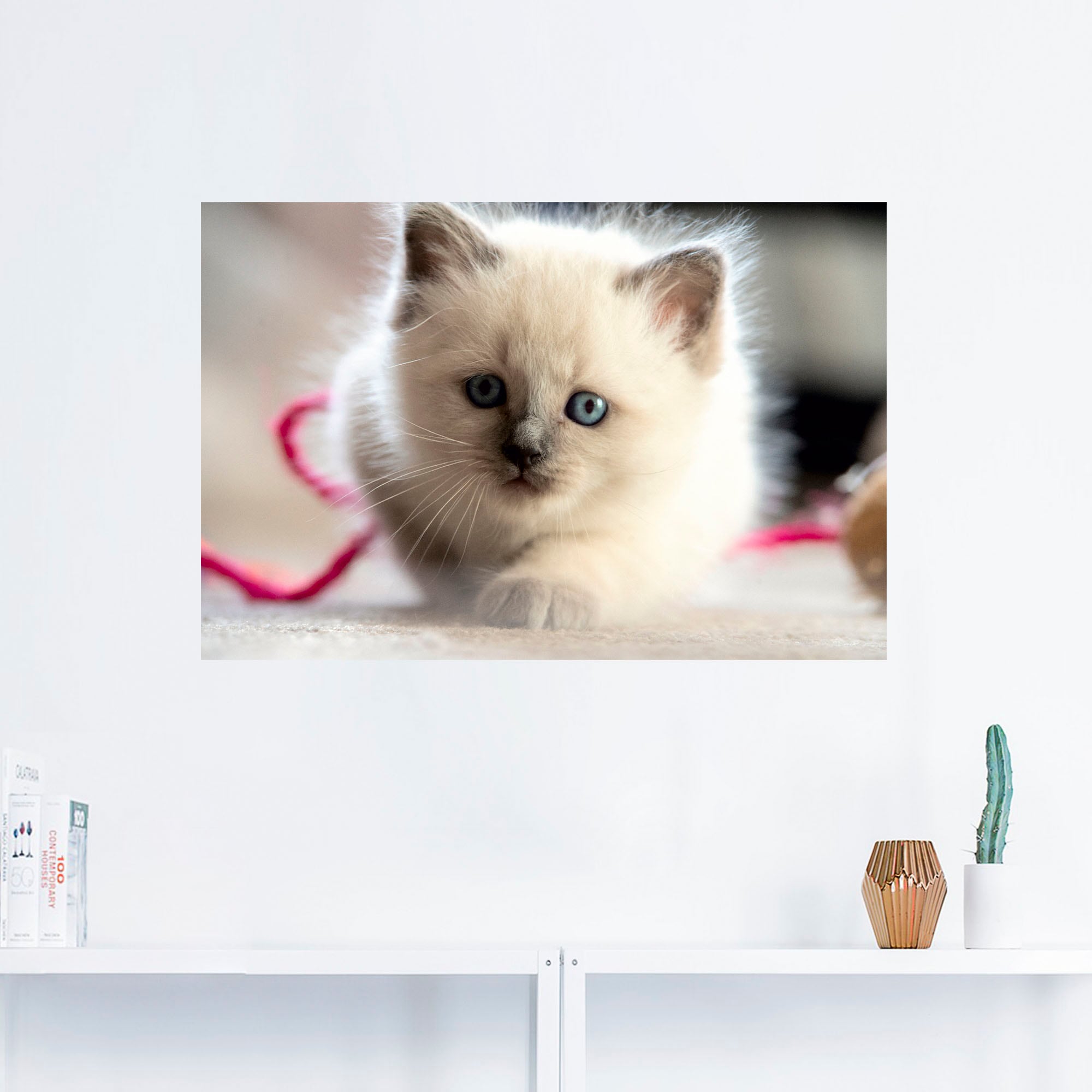 Wandbild versch. Alubild, oder Katzenbilder, »Heilige Spiel«, Wandaufkleber St.), Leinwandbild, Poster (1 Grössen jetzt Artland als Katze in Birma kaufen im