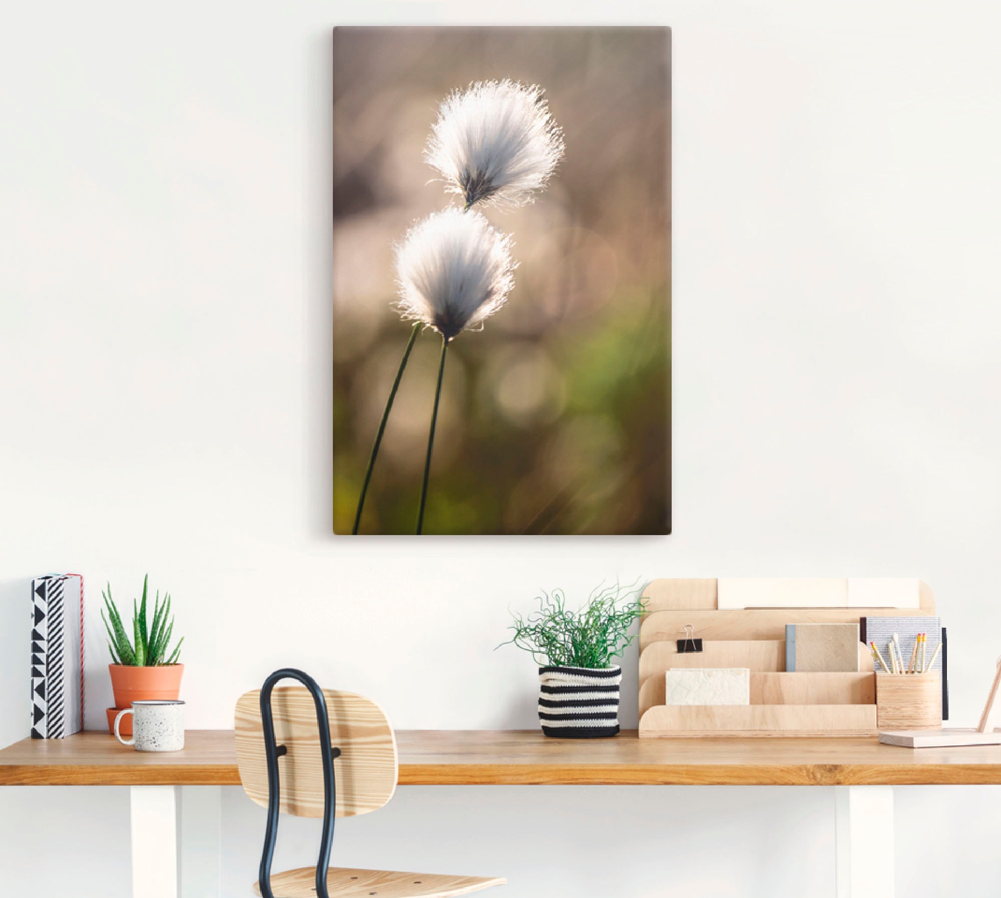 Artland Wandbild »Wollgras I«, Gräser, (1 St.), als Alubild, Outdoorbild, Leinwandbild, Poster in verschied. Grössen