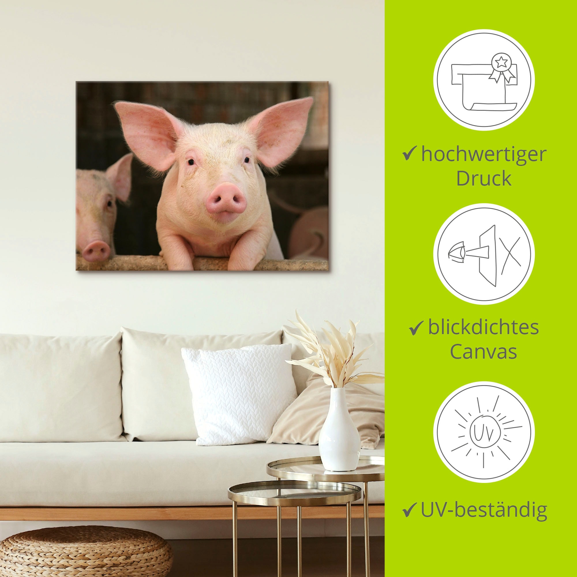 Artland Tableau sur toile »Vorwitziges Schwein« 1 cuis tlg. auf Holzrahmen gespannt