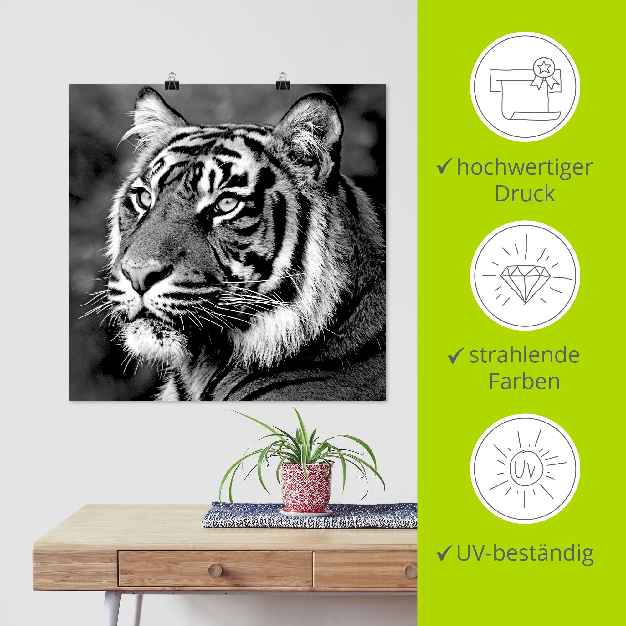 Artland Wandbild »Tiger«, Wildtiere, (1 St.), als Leinwandbild, Poster, Wandaufkleber in verschied. Grössen