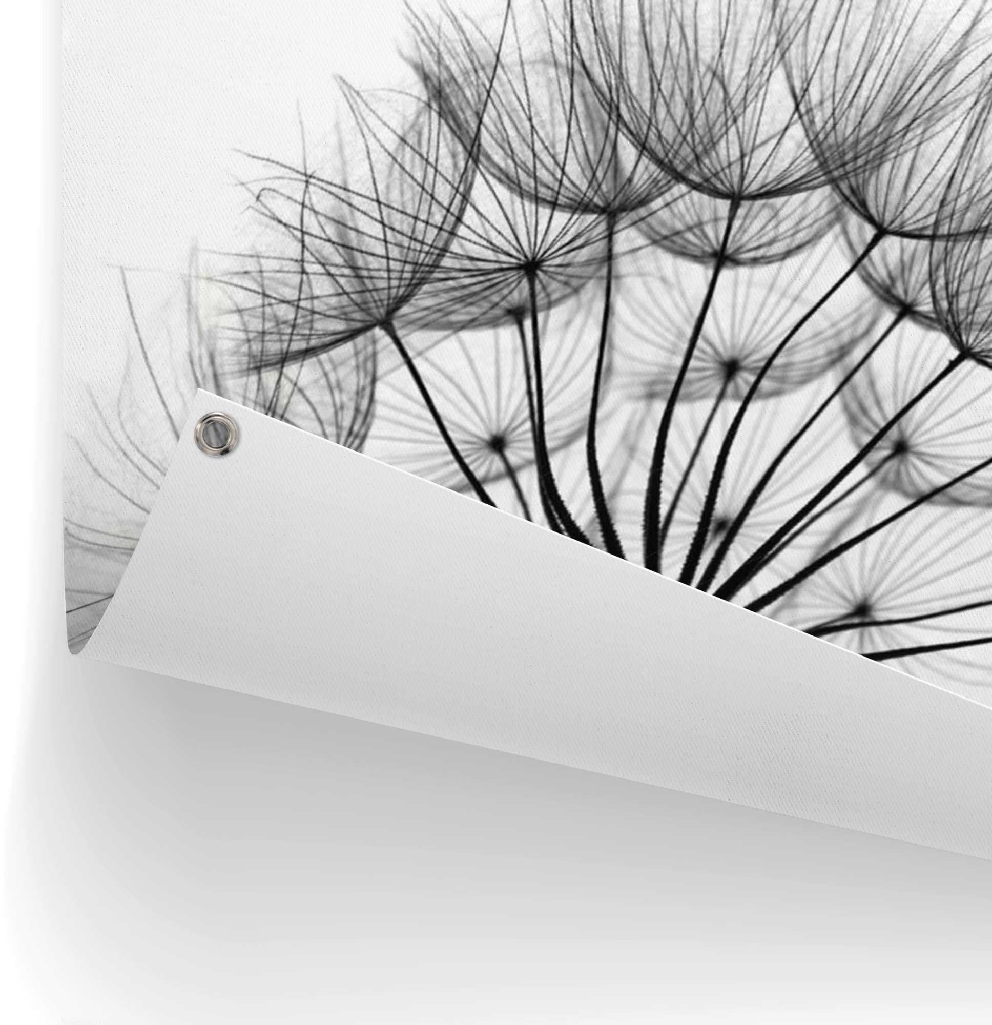 Reinders! Poster »Pusteblume« leichtes und wasserfestes Gartenposter für den Ausseneinsatz