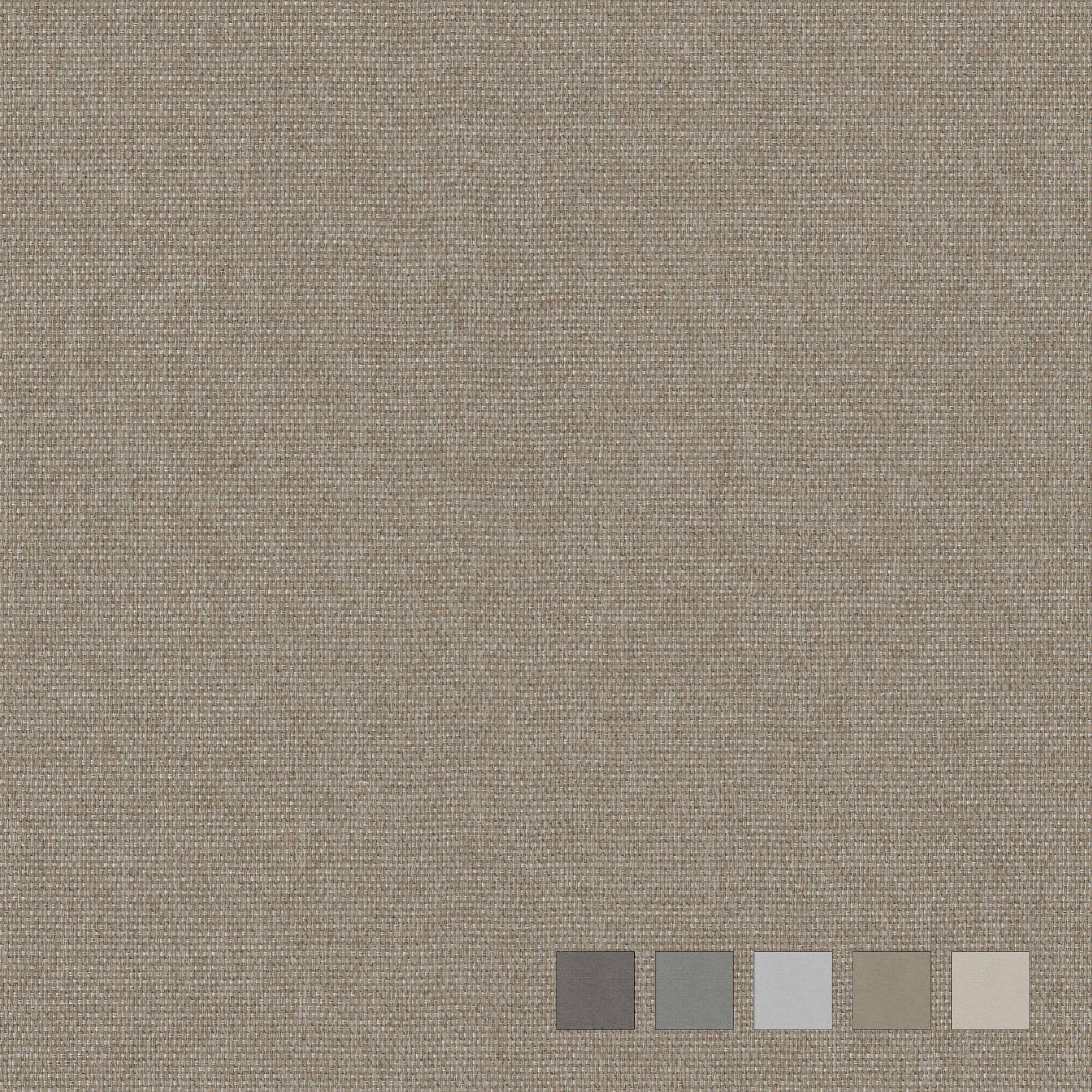 Neutex for you! Rideau sur mesure »ARUBA« Œillet 1 cuis tlg. Uni Dimout, structure tissée de haute qualité