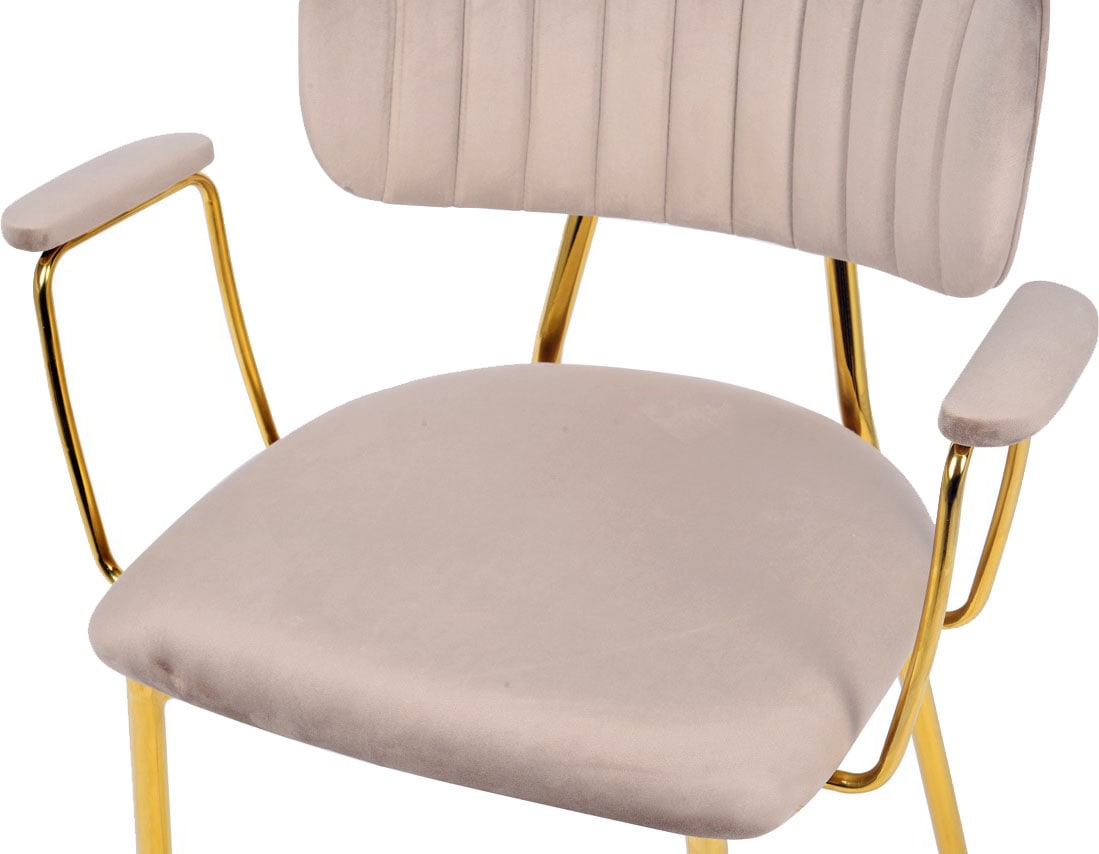 Kayoom Chaise rembourrée »Stuhl Giselle 225 2er-Set, Gestell aus Edelstahl« (Set) 2 cuismit Armlehnen, goldenes Gestell aus Edelstahl, Samtbezug, Ziernähte