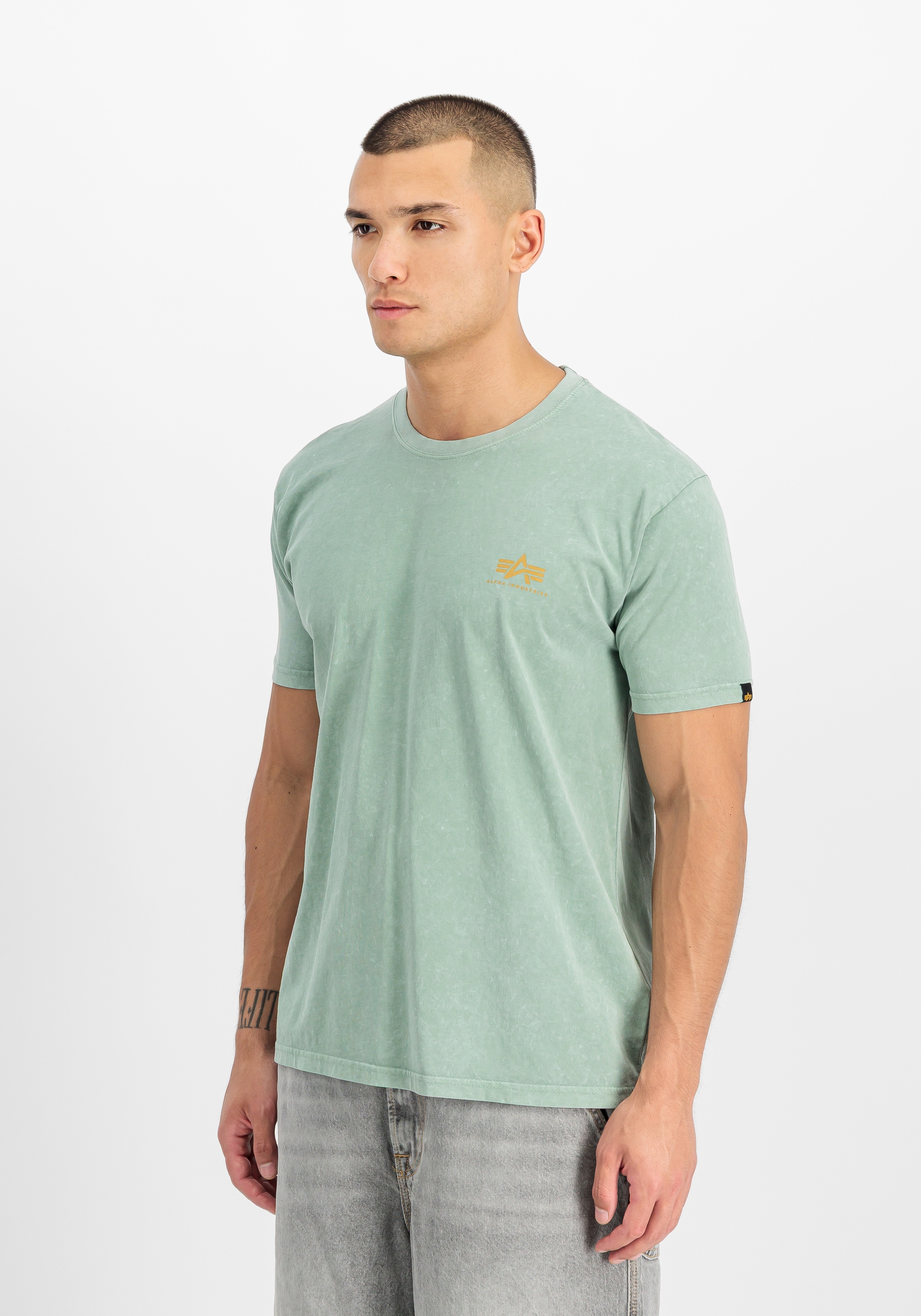 Image of Alpha Industries T-Shirt "Legend T-Shirt"