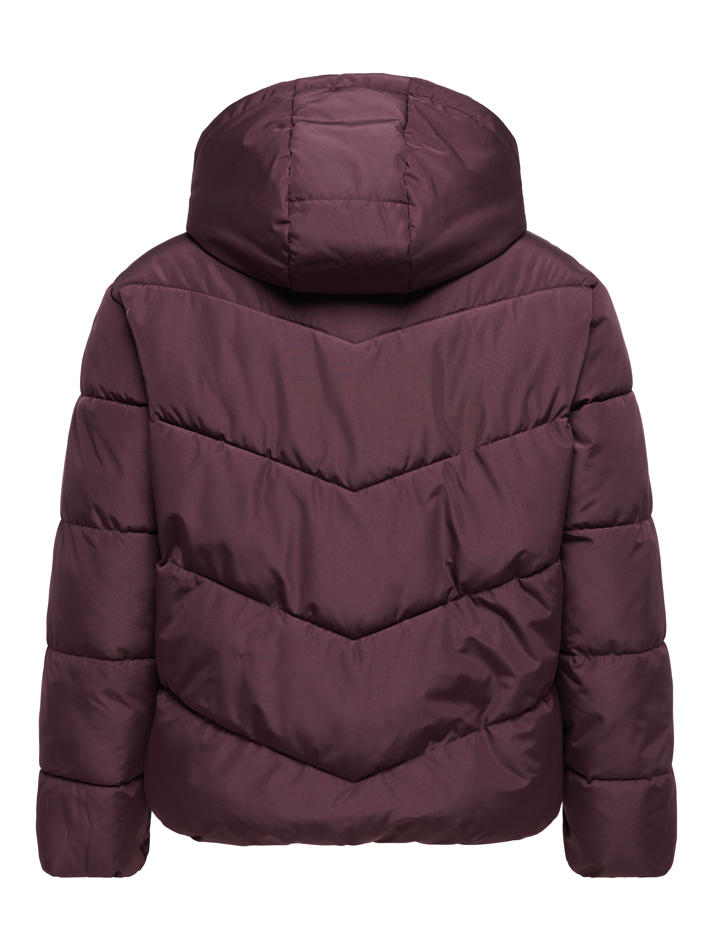 ONLY CARMAKOMA Steppjacke »CARCLAIR SHORT PUFFER OTW« ohne Kapuze Kunstfaser, normal geschnitten