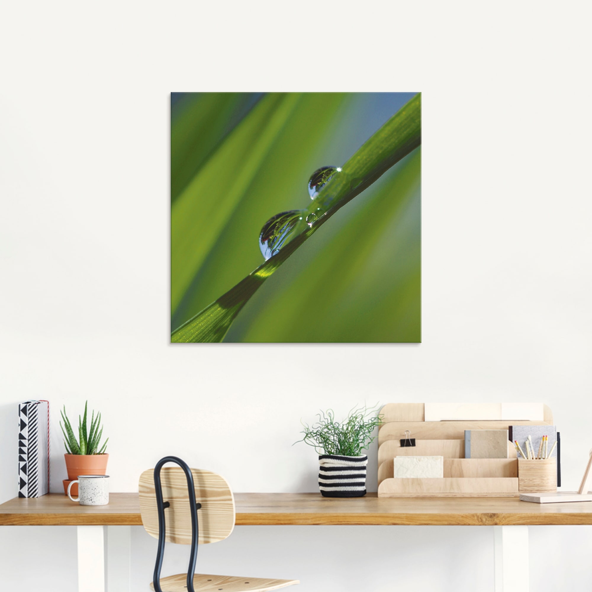 Artland Glasbild »Wassertropfen auf Grashalm« Gräser 1 Stk. tlg. in verschiedenen Grössen