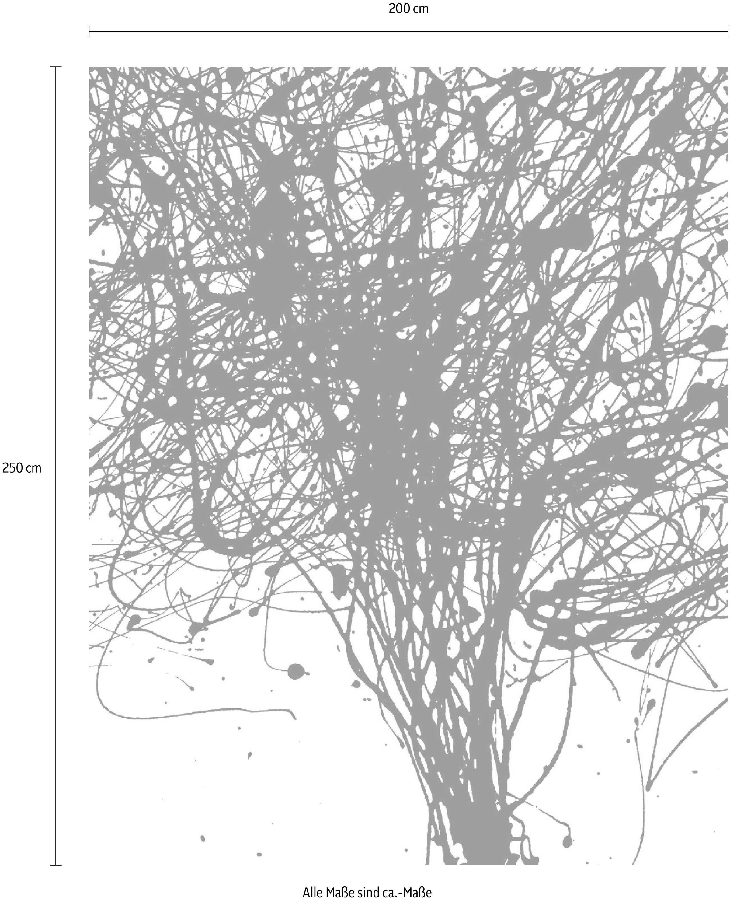 Komar Papier peint intissé »Curls« (Breite x Höhe)