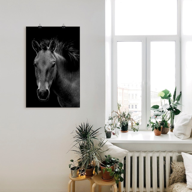 Artland Wandbild »Wildpferd«, Pferdebilder, (1 St.), als Alubild,  Leinwandbild, Wandaufkleber oder Poster in versch. Grössen jetzt kaufen