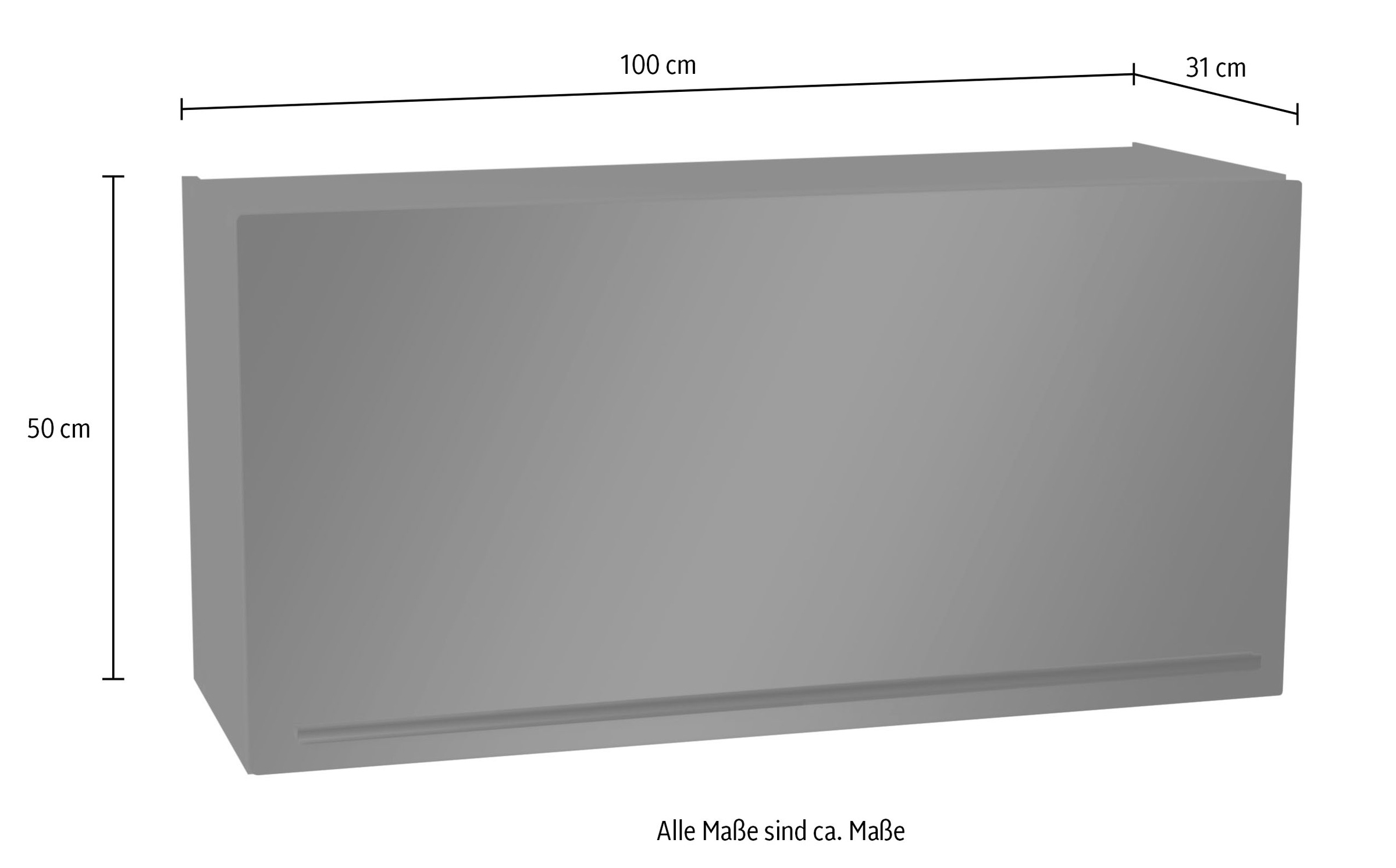 BASIC by Balculina Armoire suspendue »Jazz 100er Hängeschrank, Küchenschrank BxHxT 100x50x31 cm« 1 cuis tlg. Armoire murale avec 1 abattant et 1 tablette