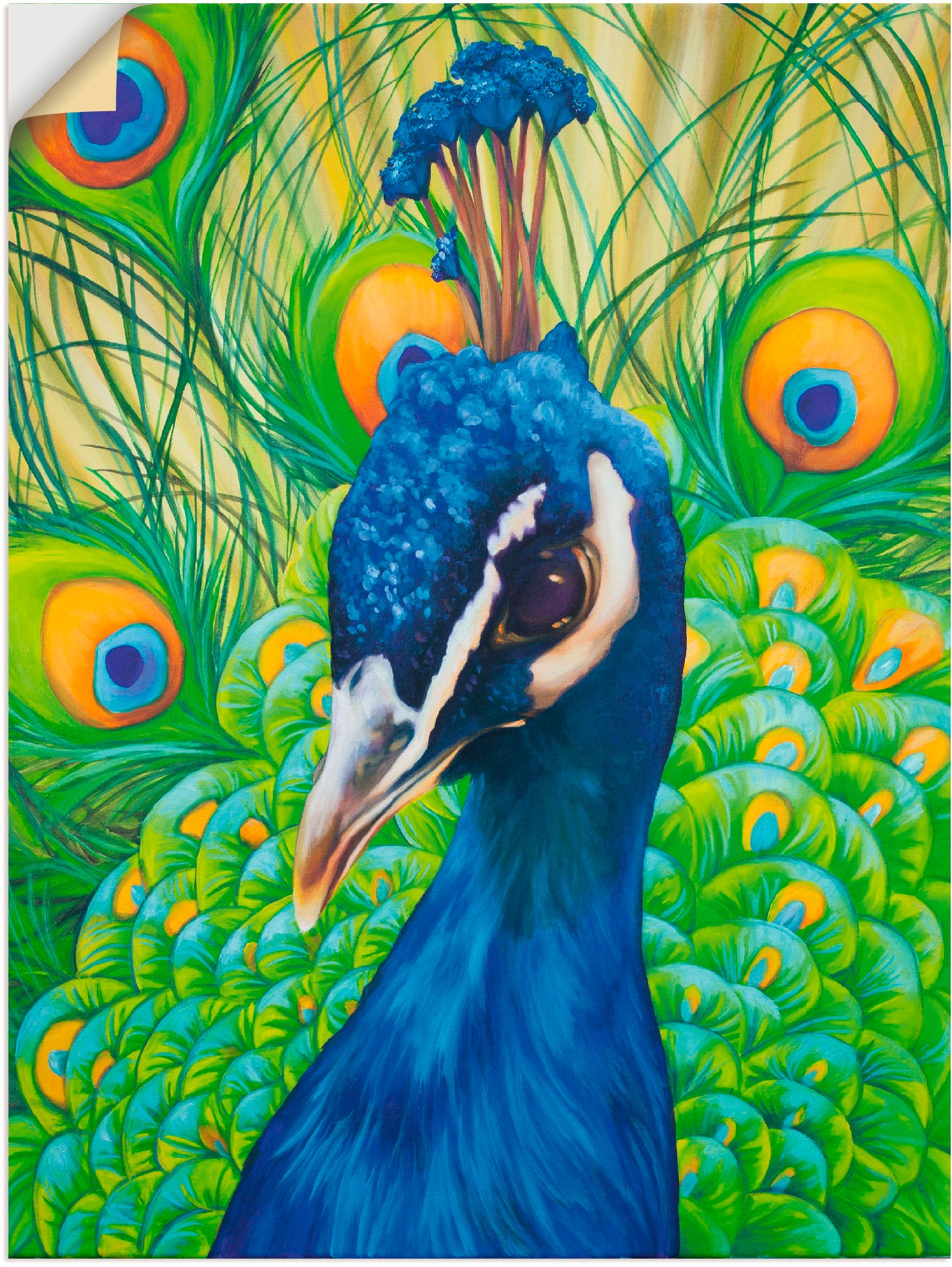 Image of Artland Wandbild »Pfau«, Vögel, (1 St.), in vielen Grössen & Produktarten - Alubild / Outdoorbild für den Aussenbereich, Leinwandbild, Poster, Wandaufkleber / Wandtattoo auch für Badezimmer geeignet bei Ackermann Versand Schweiz