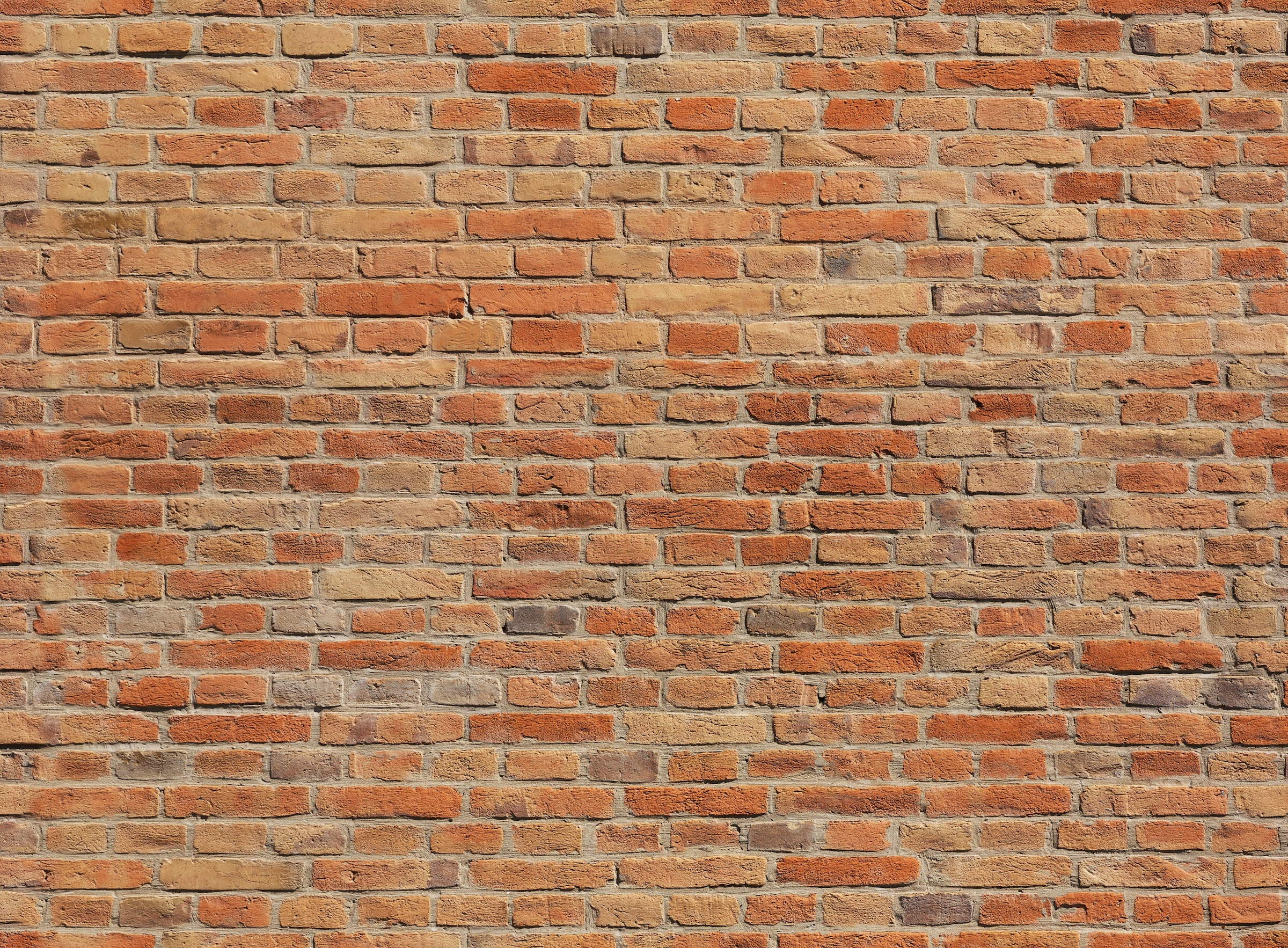 Image of Papermoon Fototapete "Brickwall" glatt