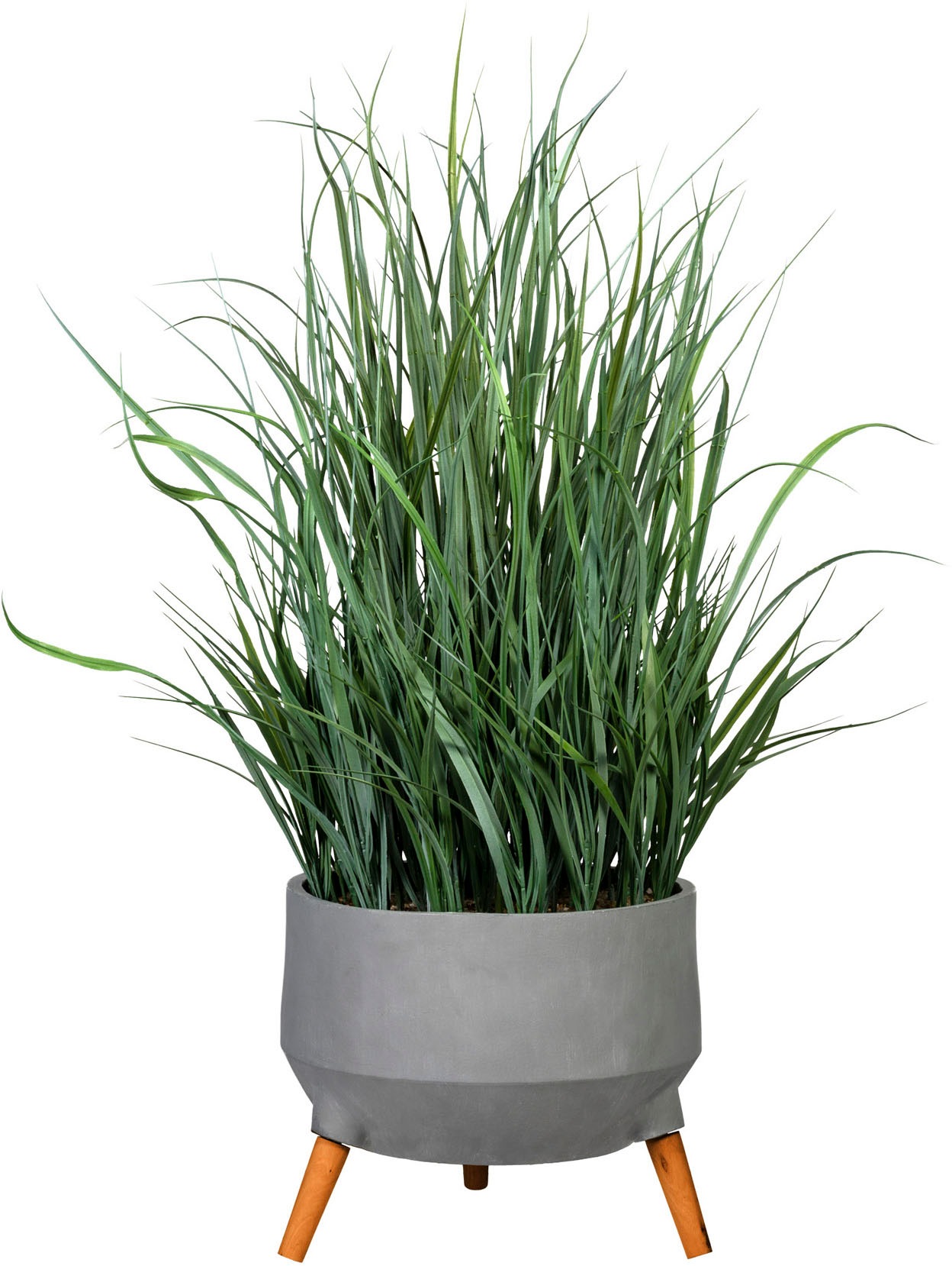 Image of Creativ green Kunstgras »Grasbusch«, (1 St.), in Fibreclayschale bei Ackermann Versand Schweiz