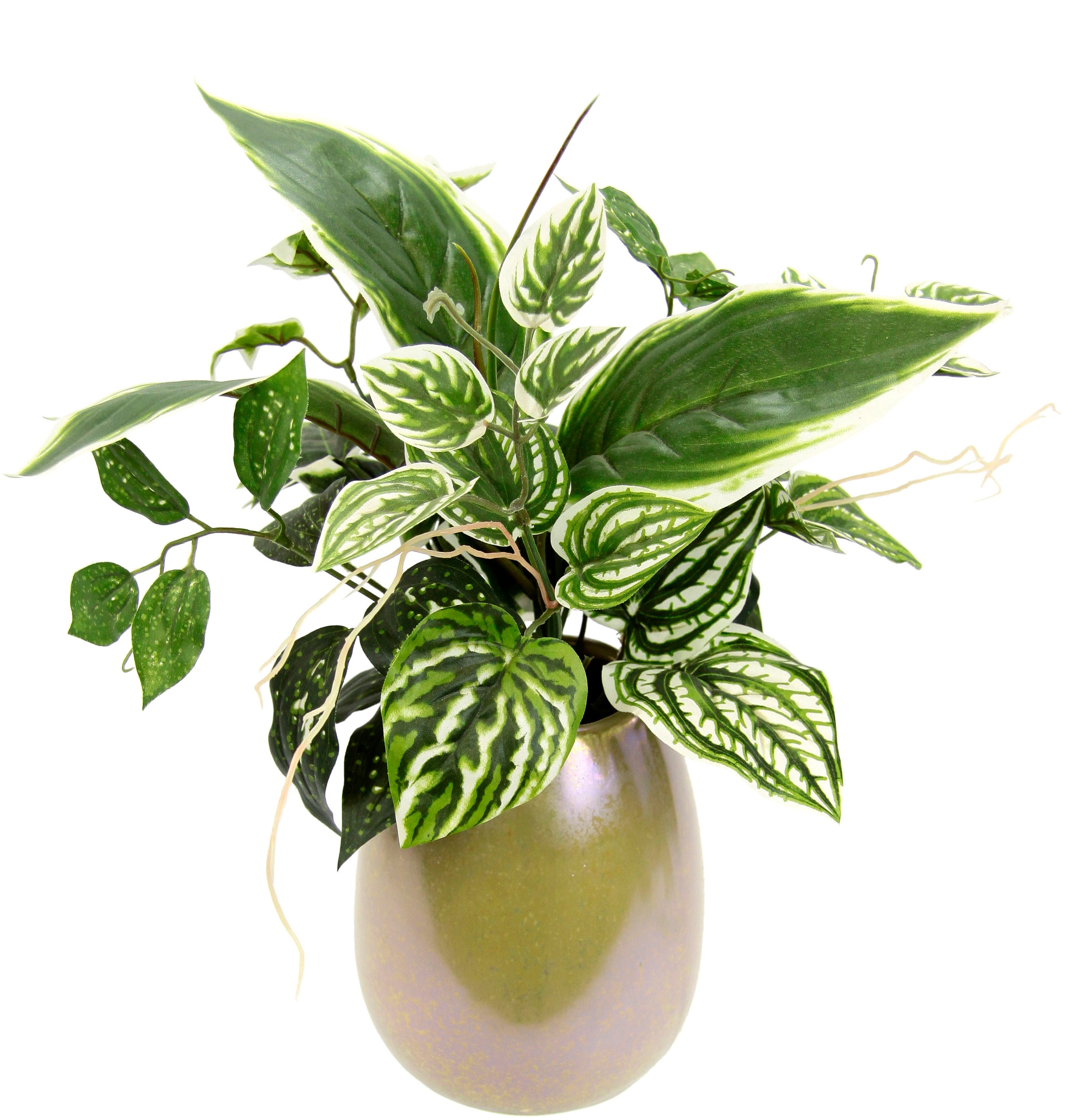 Image of I.GE.A. Kunstpflanze »Mixed-Hostabusch in Vase«, (1 St.) bei Ackermann Versand Schweiz