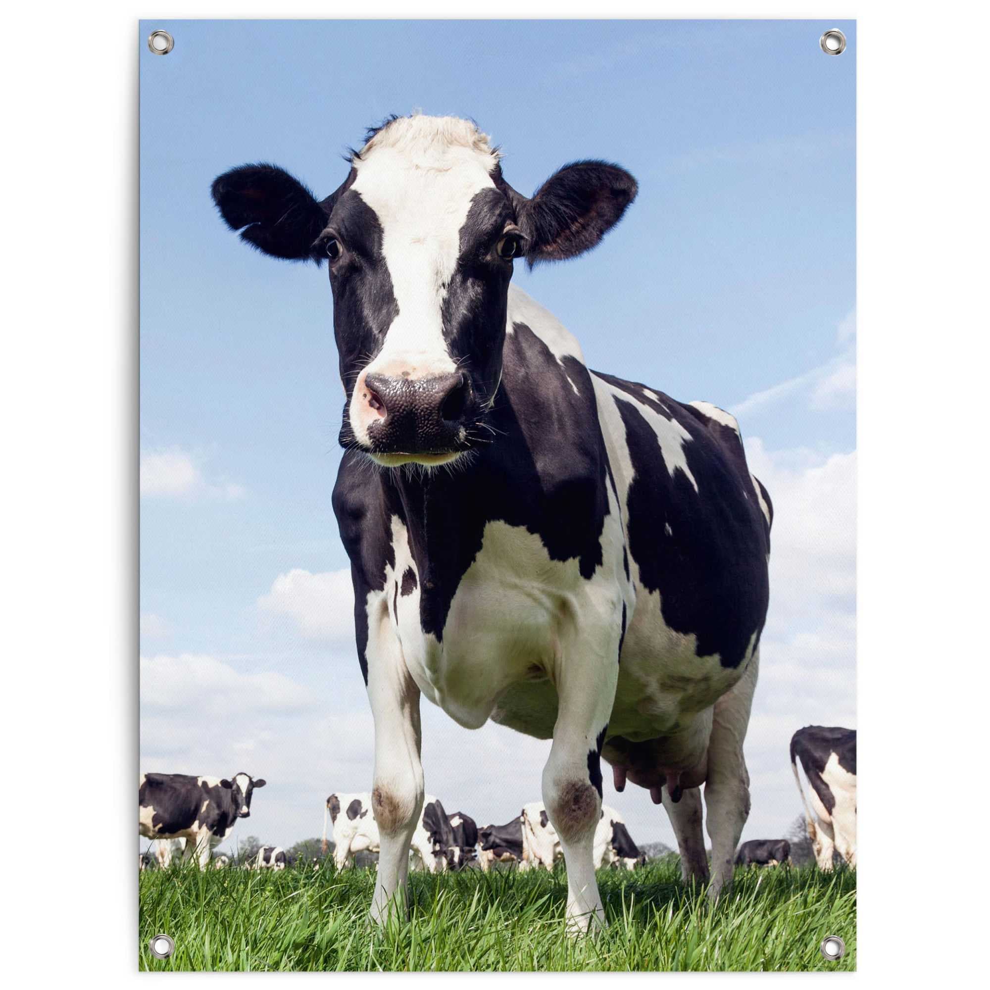 Image of Reinders Poster "Dutch Cow" Garten - Kuh - Wiese - Grün - Leinwand - Tiere - 60x80 cm