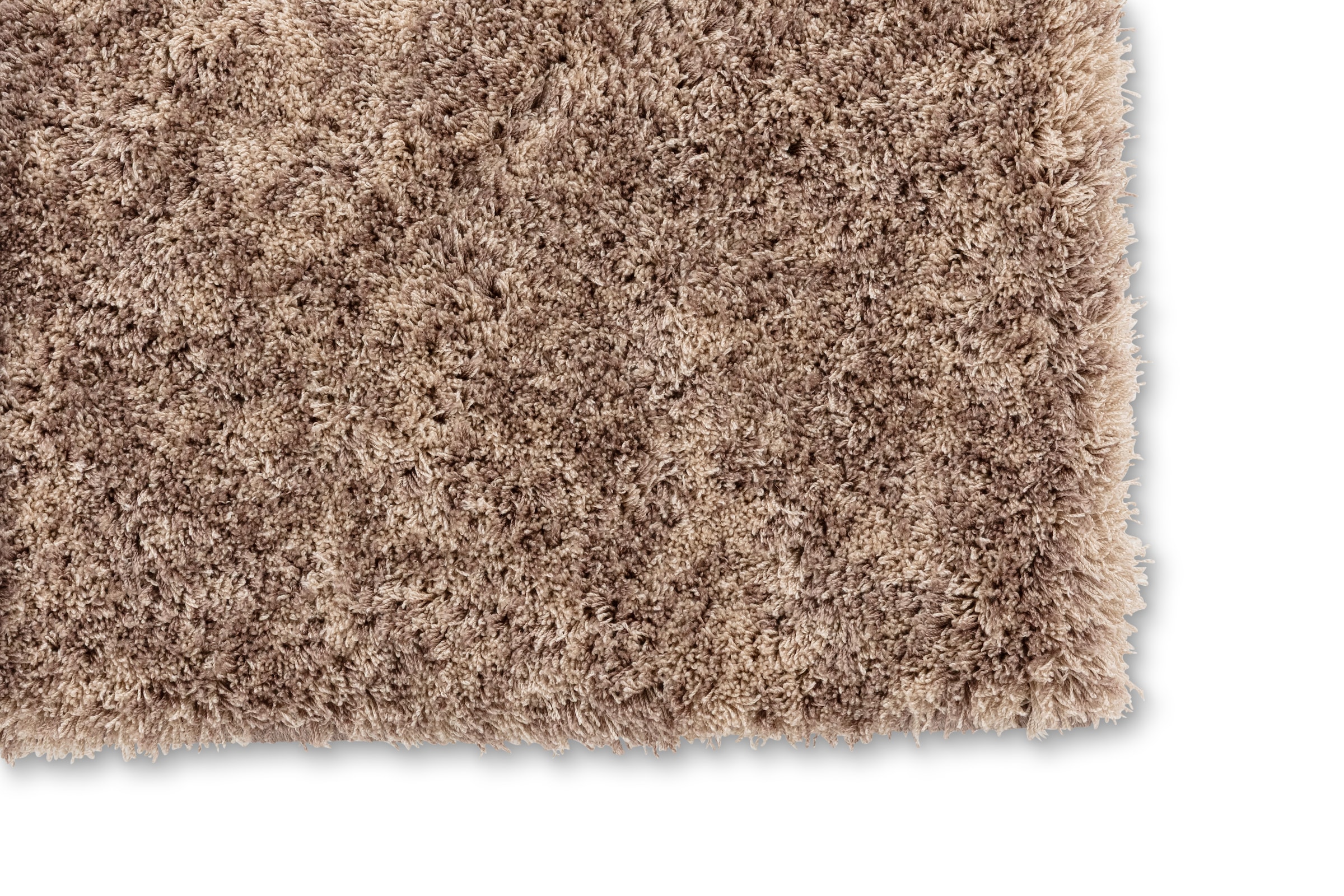 ASTRA Tapis »Salerno 250« Rectangulaire 30 mm Höhe tapis d'intérieur dense, conçu en Allemagne, Oeko-Tex